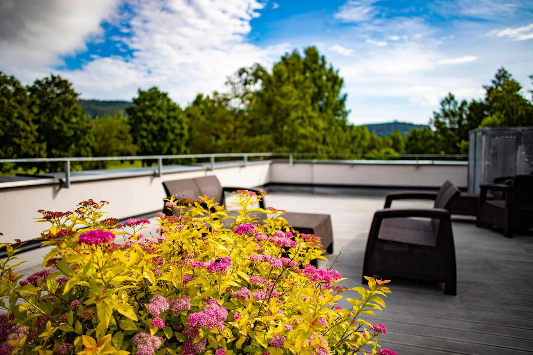Balcony/Terrace in Amenity Hotel & Resort Lipno