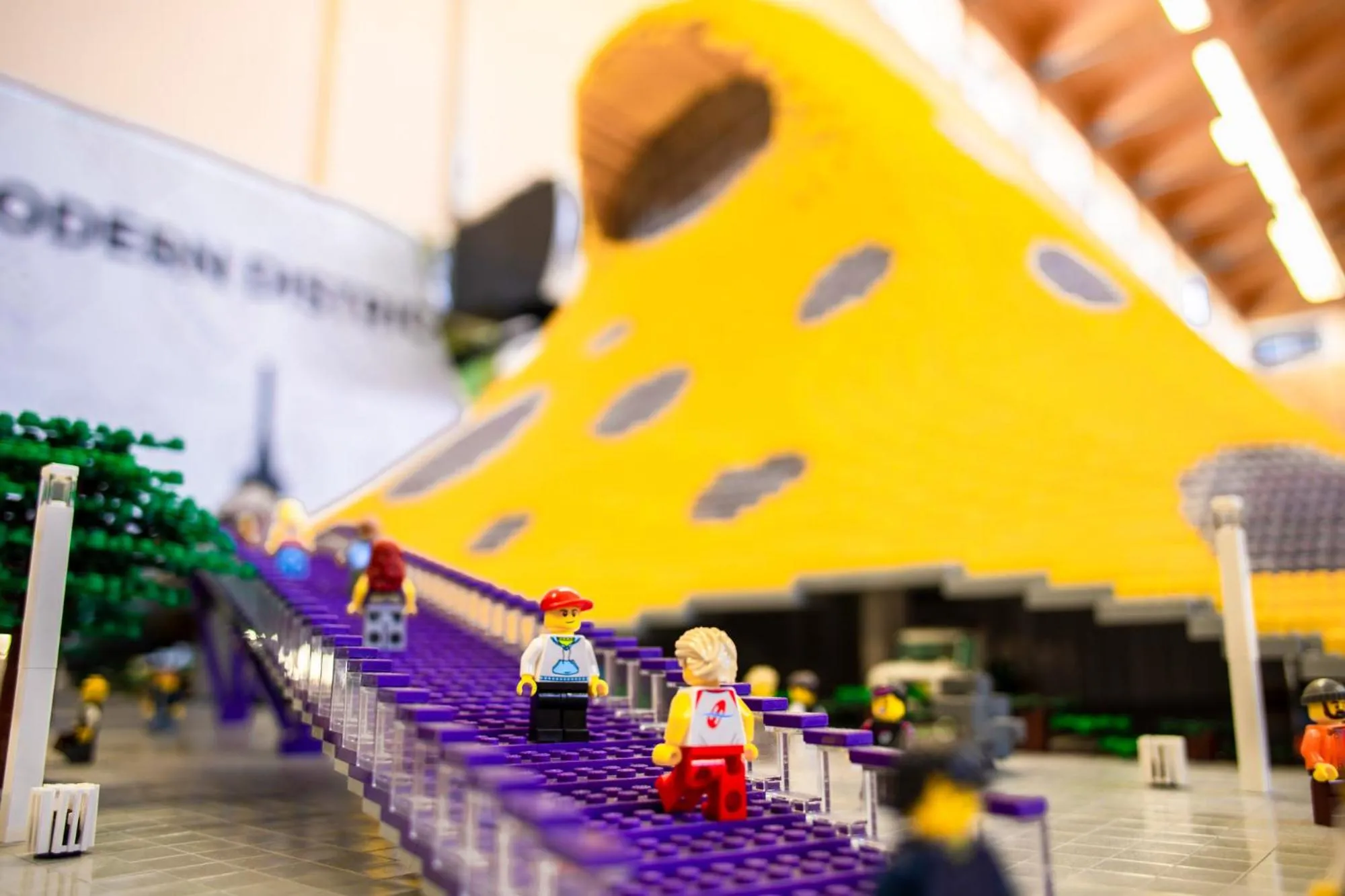 Activities in Amenity Hotel & Resort Lipno