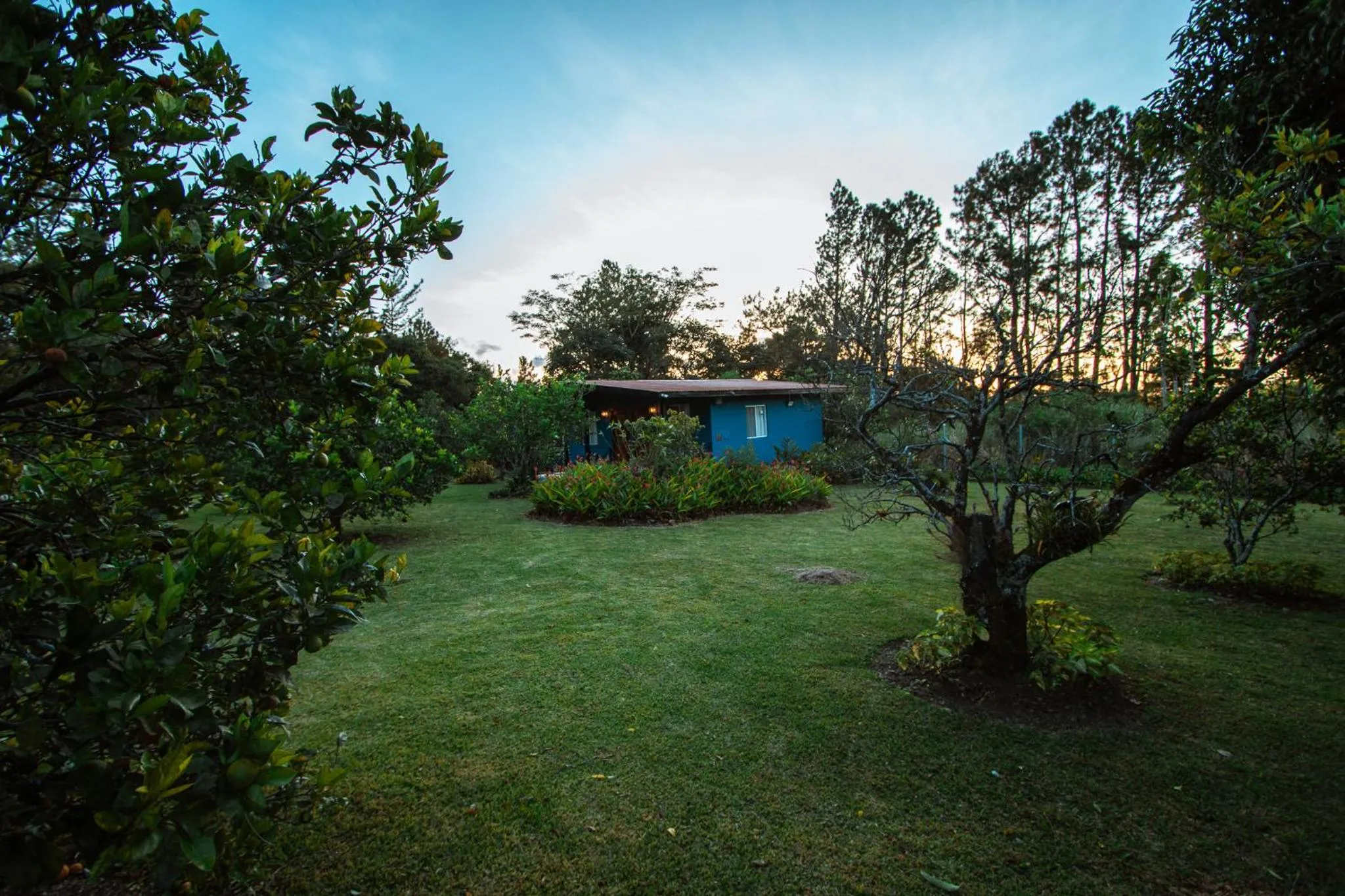 Garden view in Hotel Boutique Los Abetos