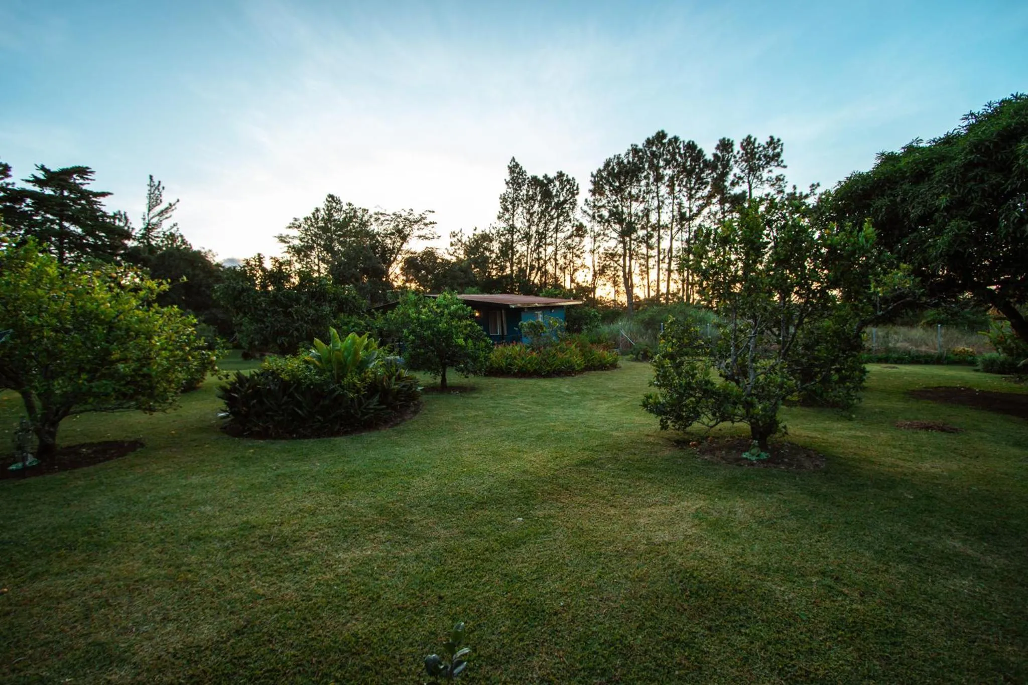 Garden view in Hotel Boutique Los Abetos