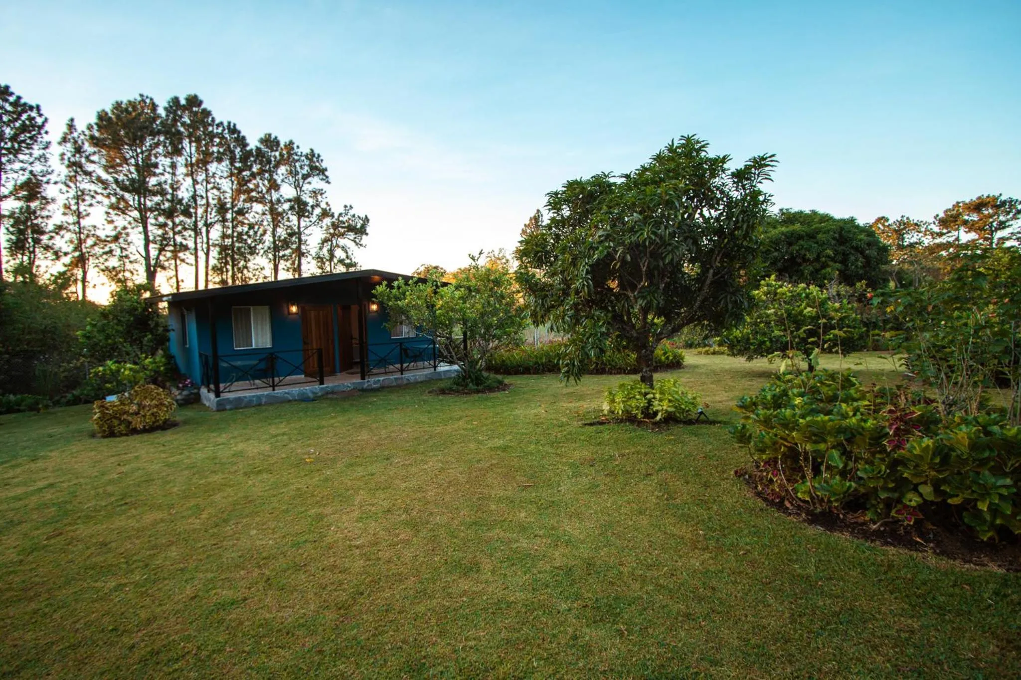 Garden view in Hotel Boutique Los Abetos