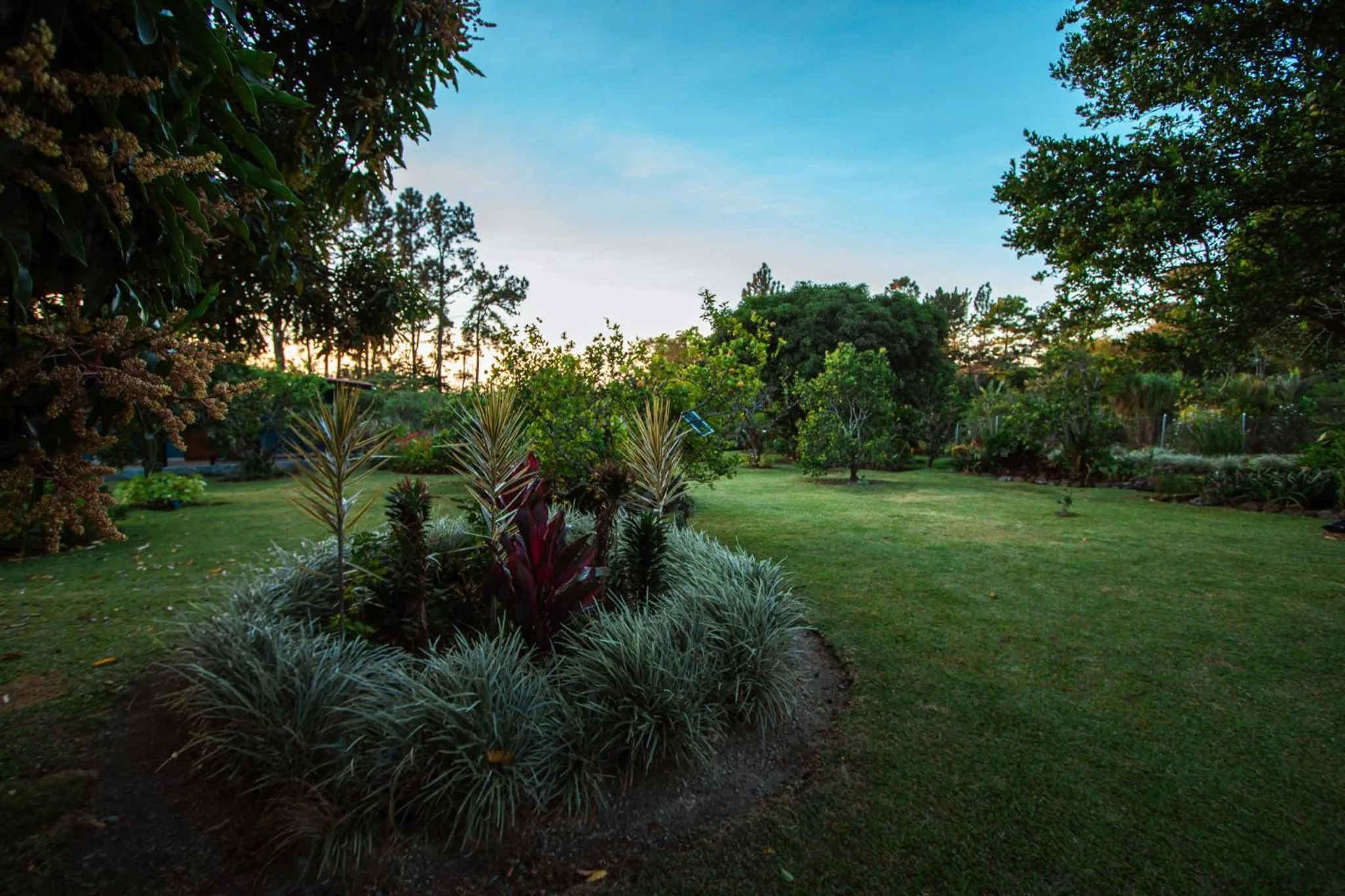 Garden view in Hotel Boutique Los Abetos