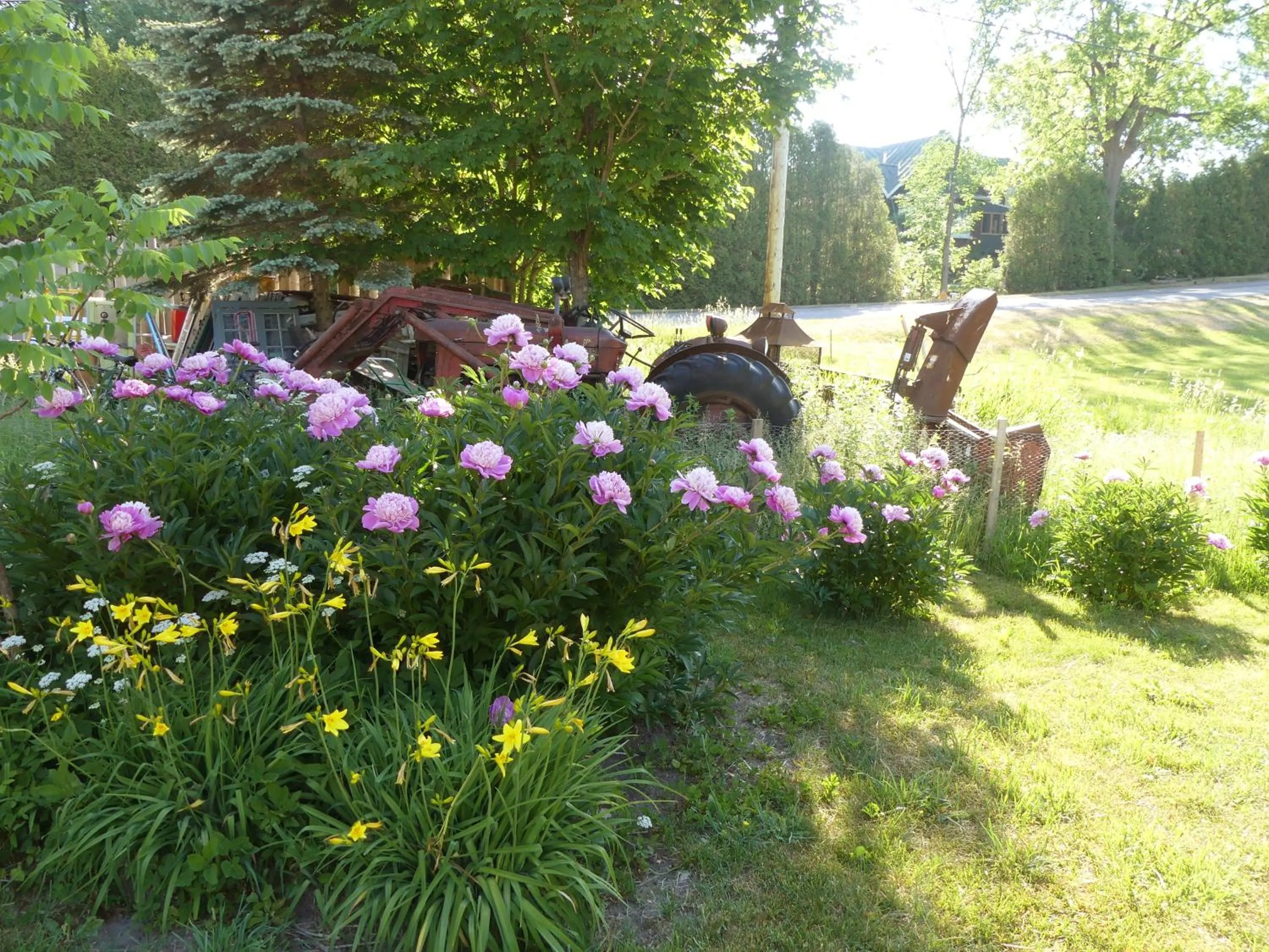 Garden in Gîte du Village - Deschambault