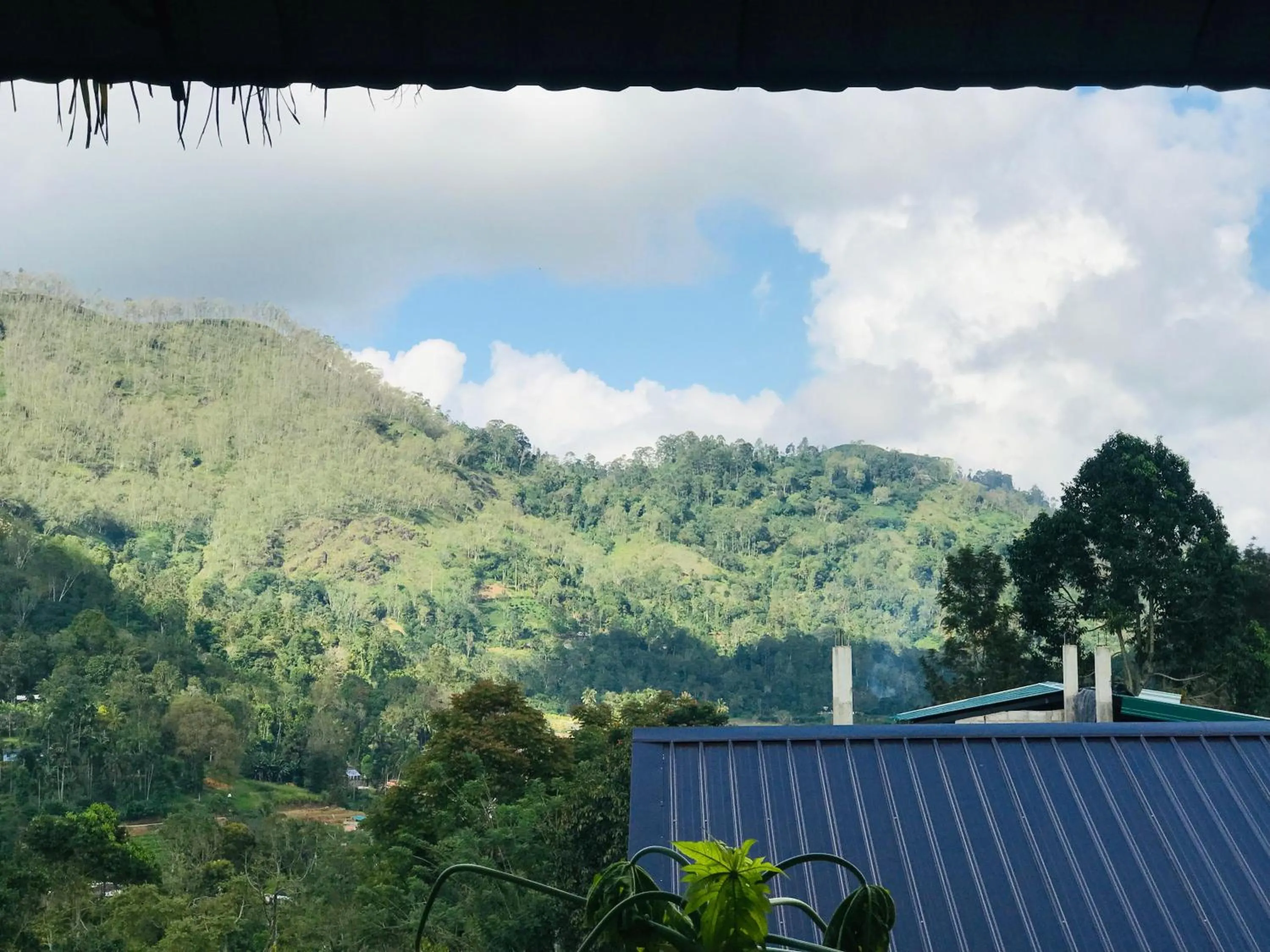 Natural landscape in Belmond Ella