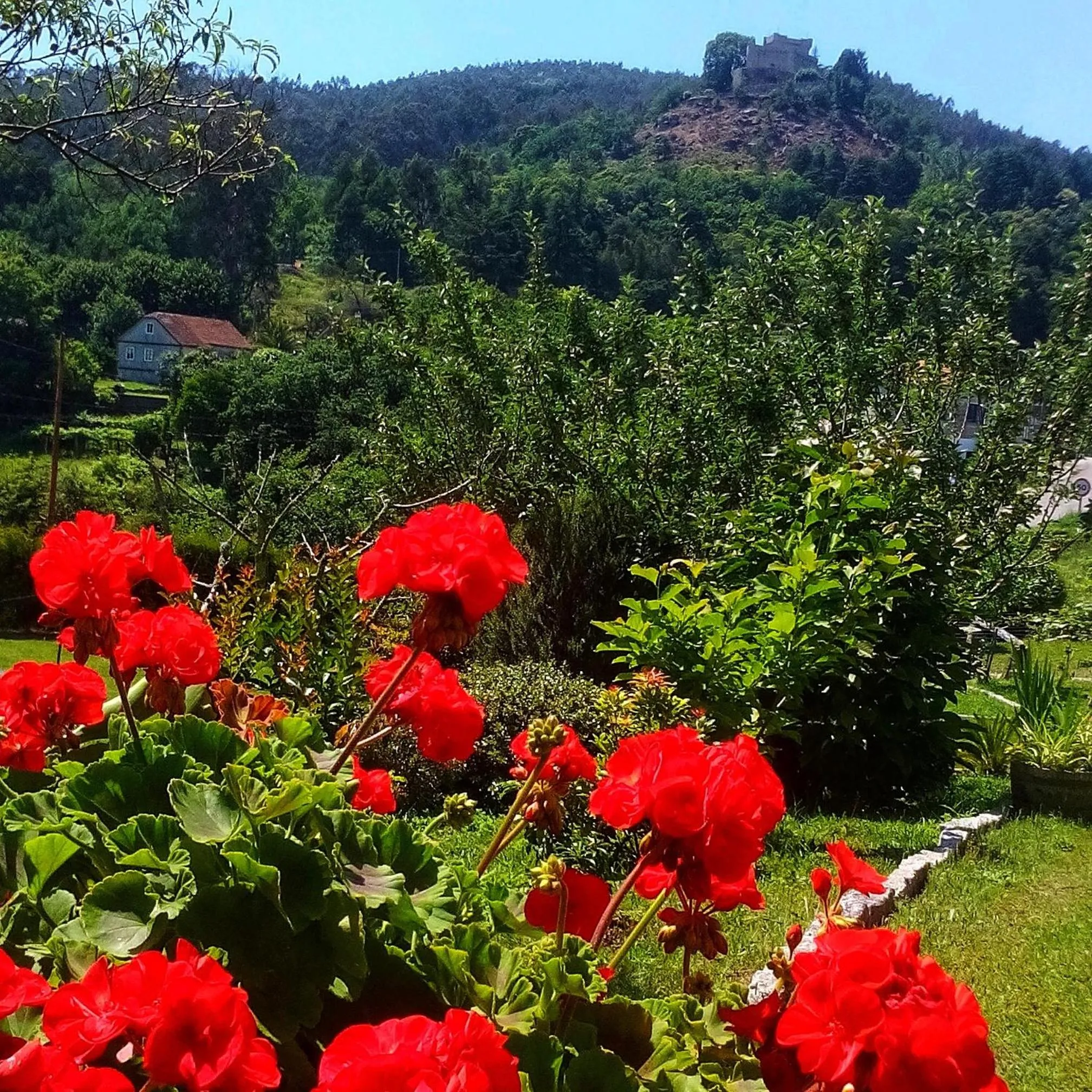 View (from property/room) in A Cantaruxa Maruxa Turismo Rural