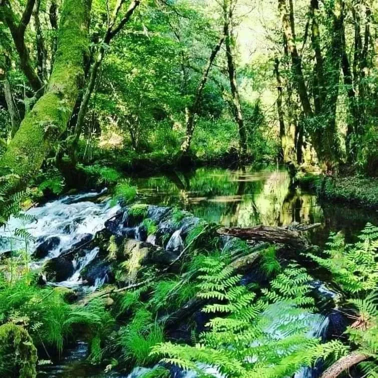A Cantaruxa Maruxa Turismo Rural