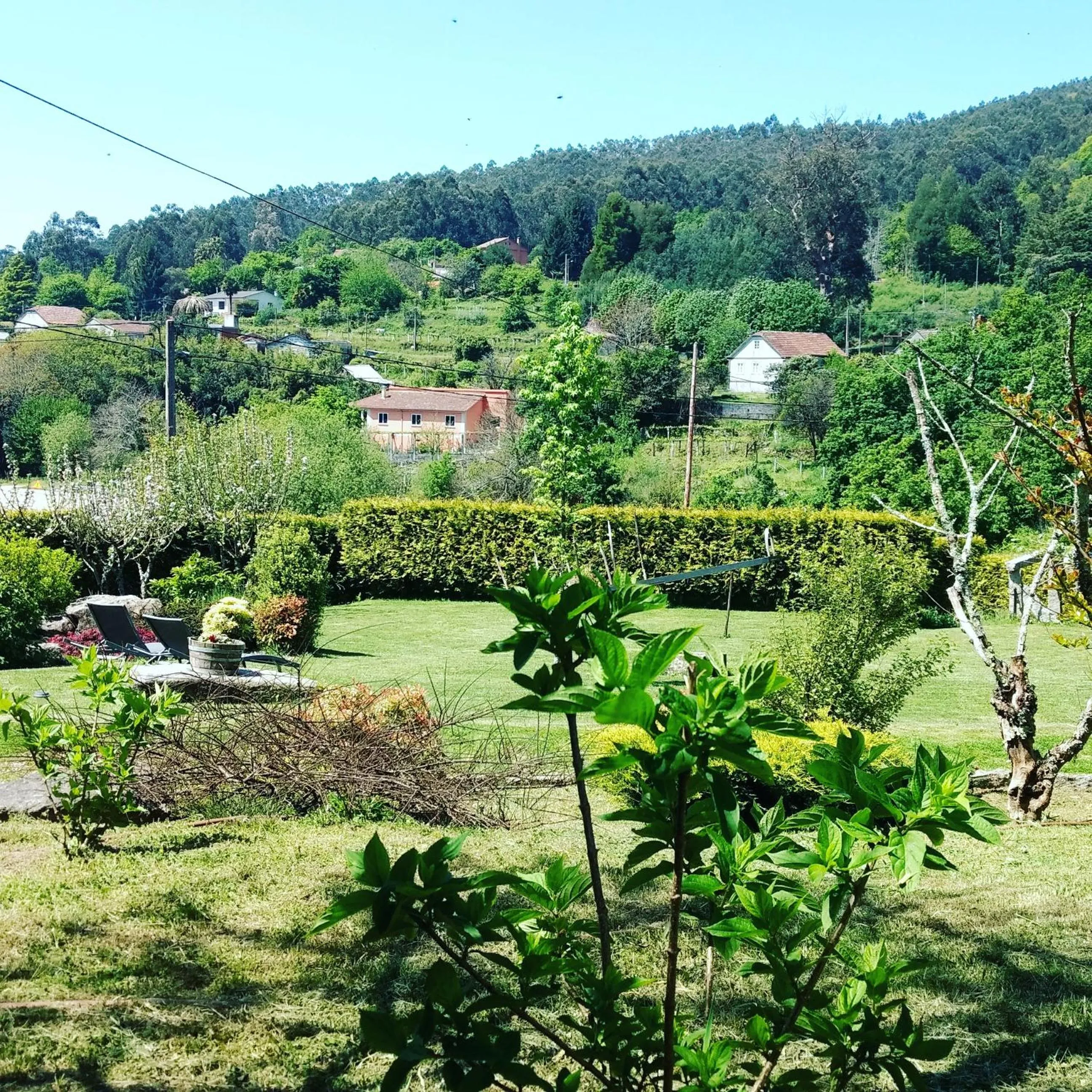 Garden view in A Cantaruxa Maruxa Turismo Rural