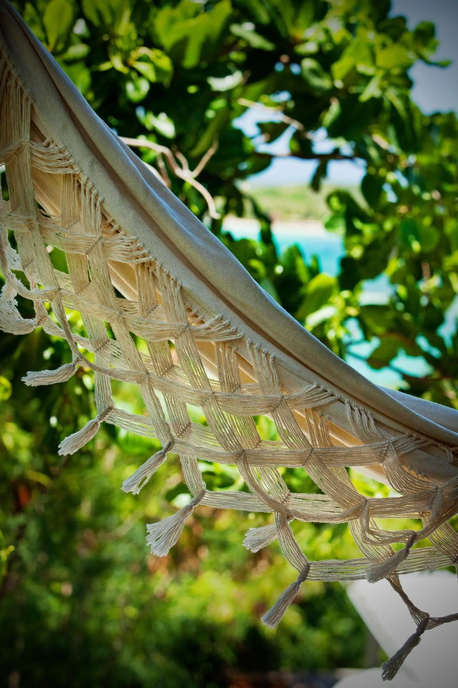 Garden in Karibuni Boutique Hotel