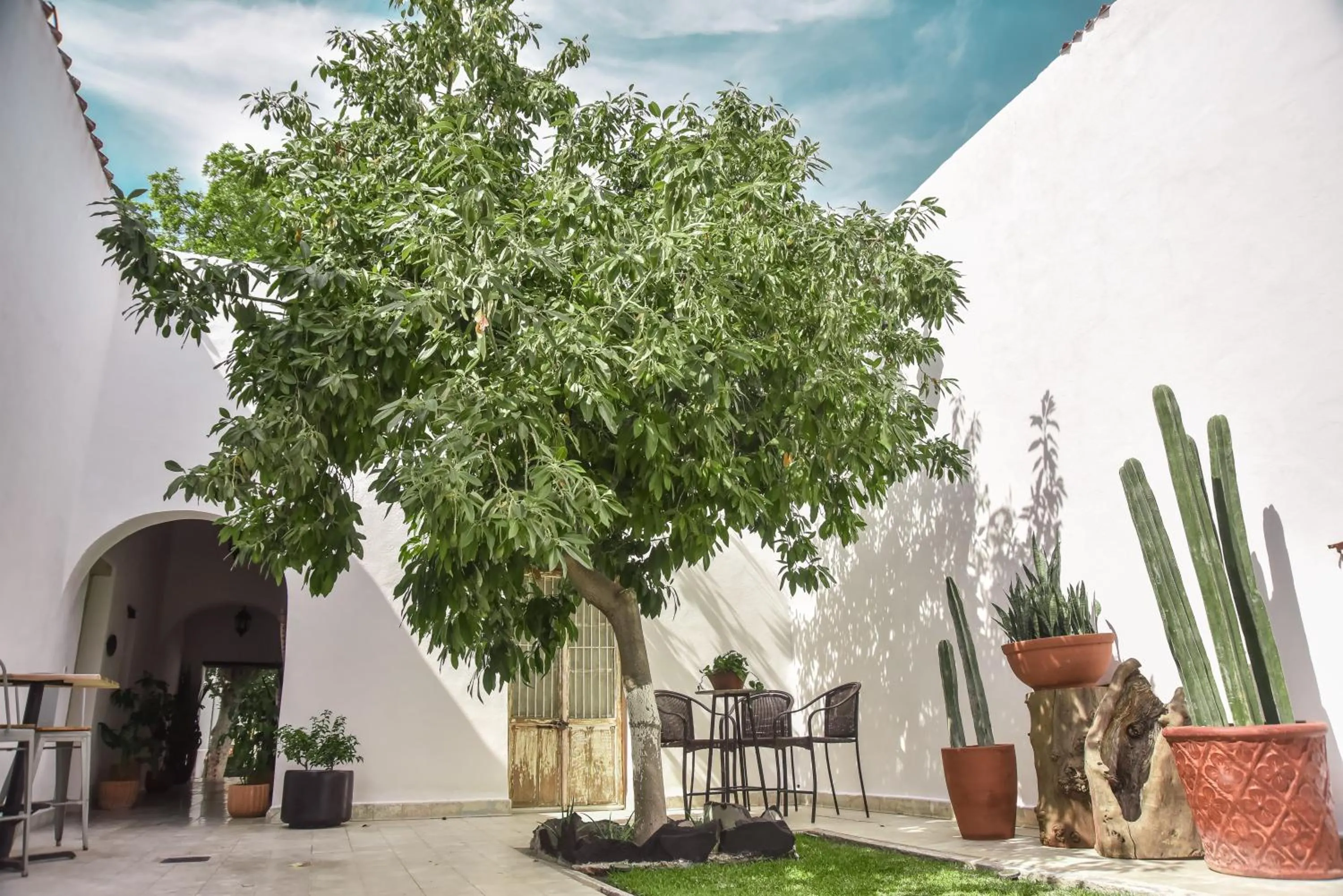 Facade/entrance in Casa Raco - Parras de la Fuente