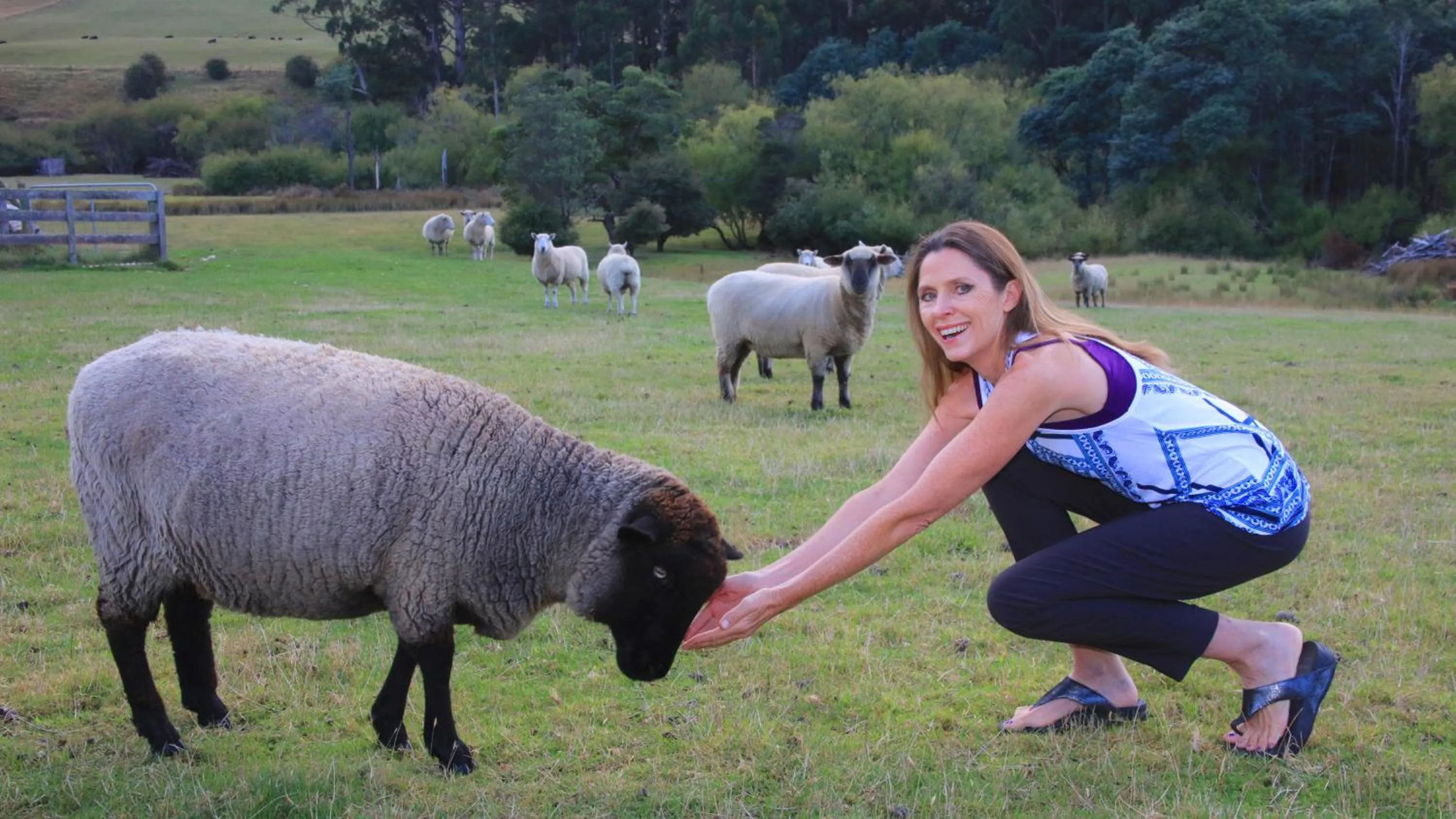 Animals in Ashdowns of Dover