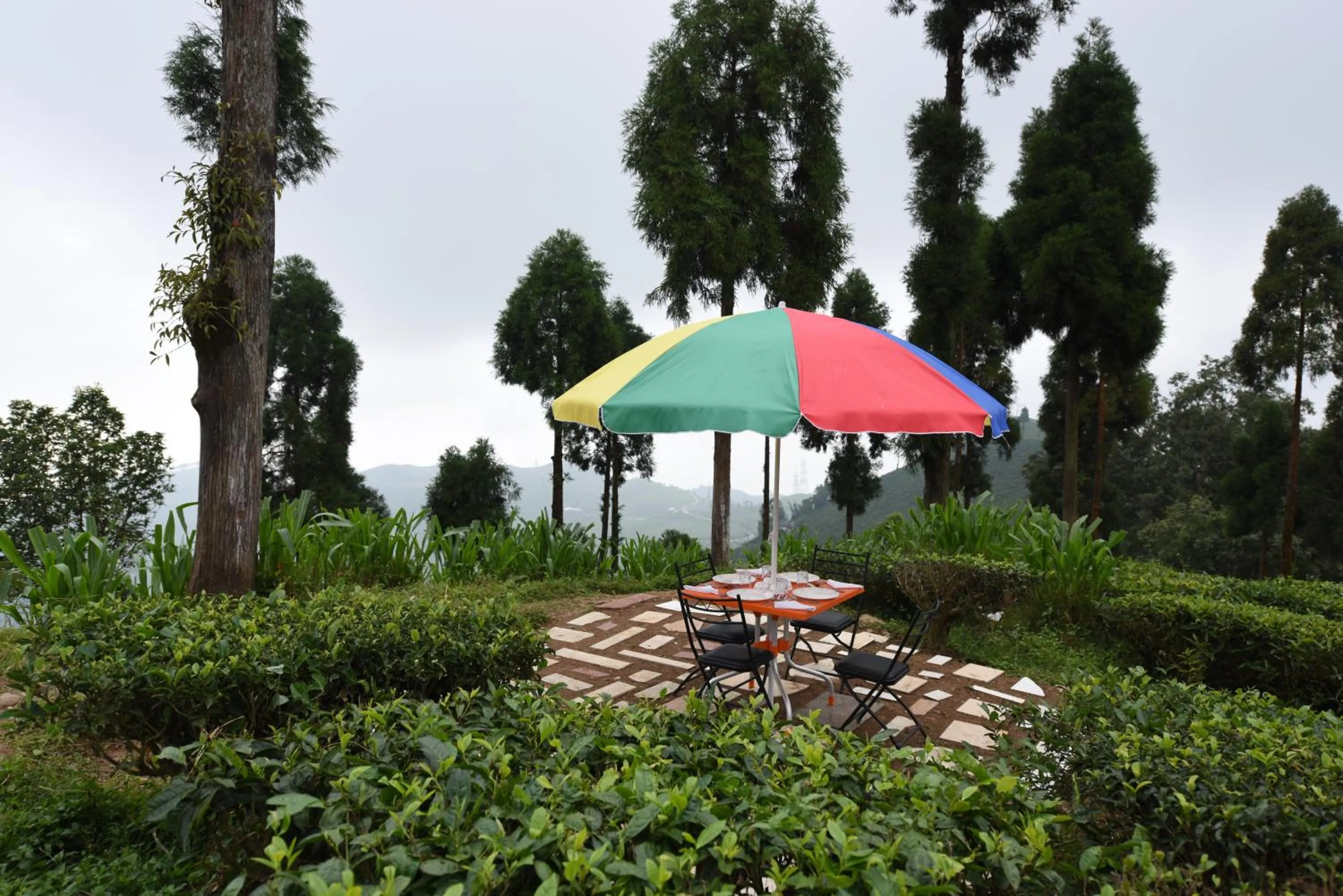 On site in Sourenee Tea Estate