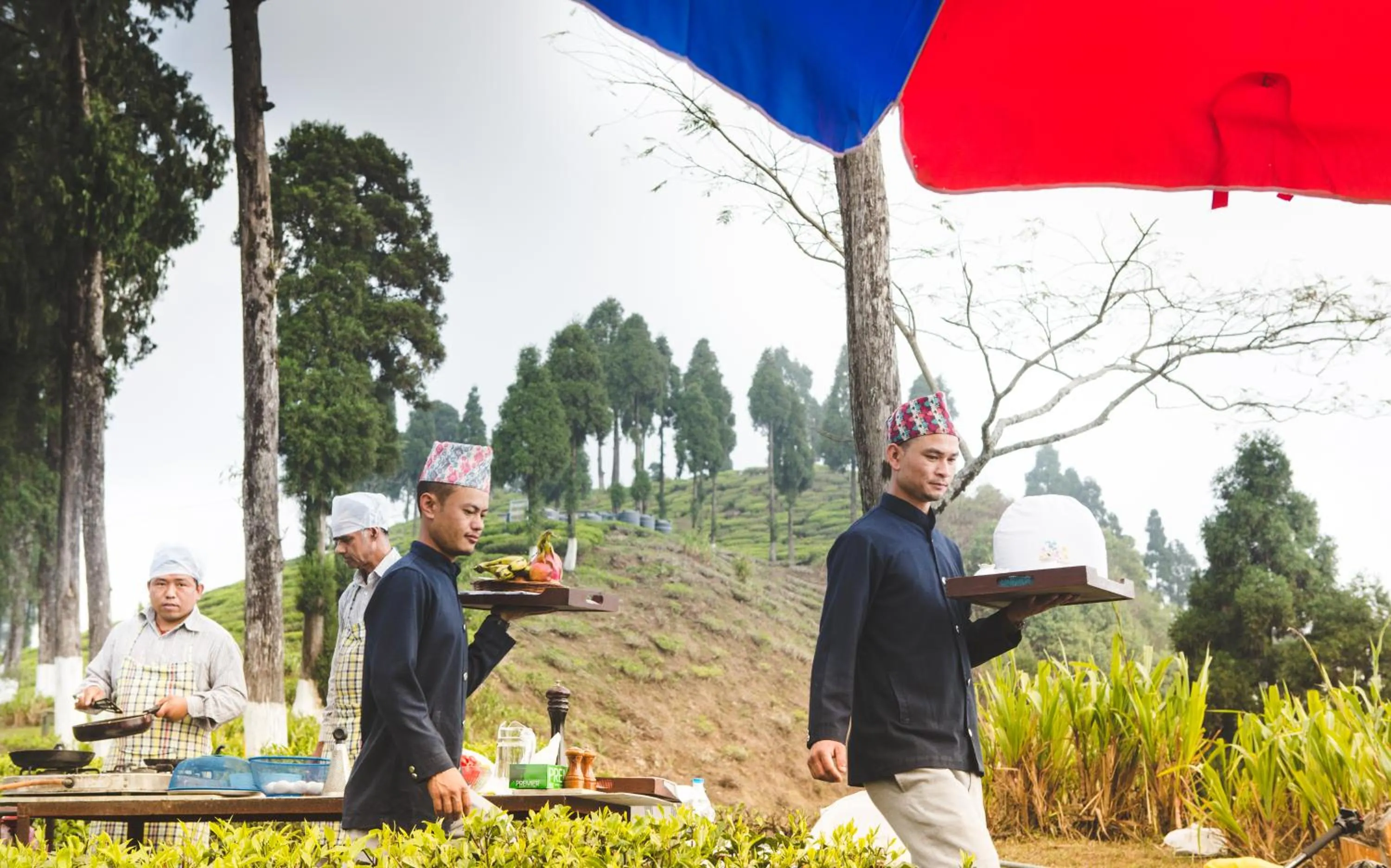 Staff in Sourenee Tea Estate