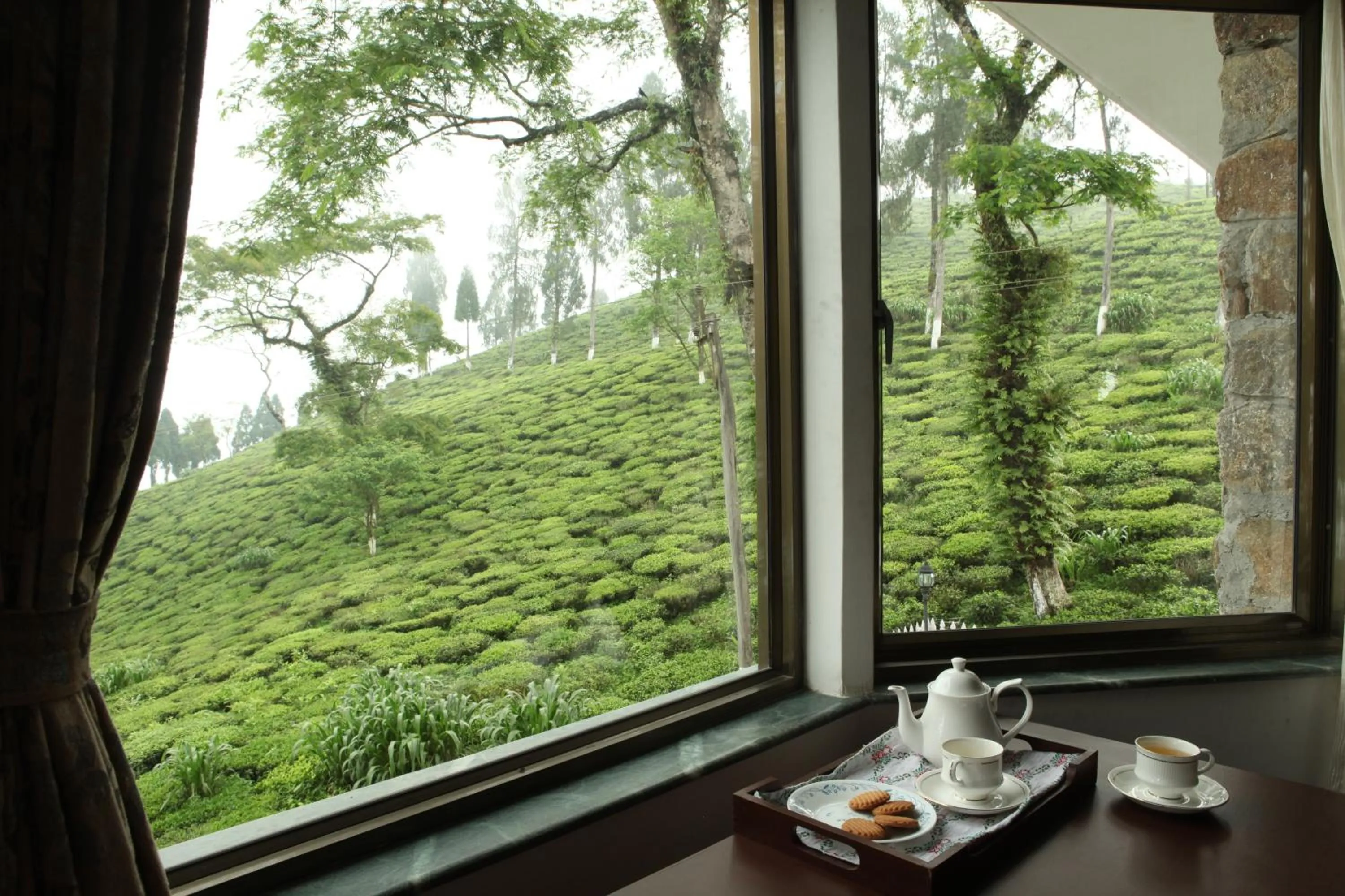 Area and facilities in Sourenee Tea Estate