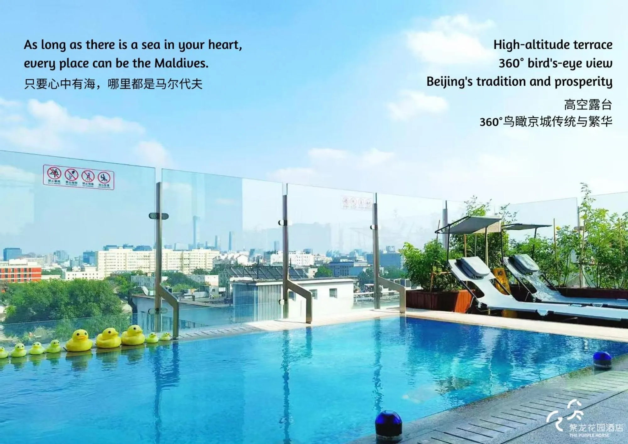 Balcony/Terrace in The Purple Horse Hotel Beijing