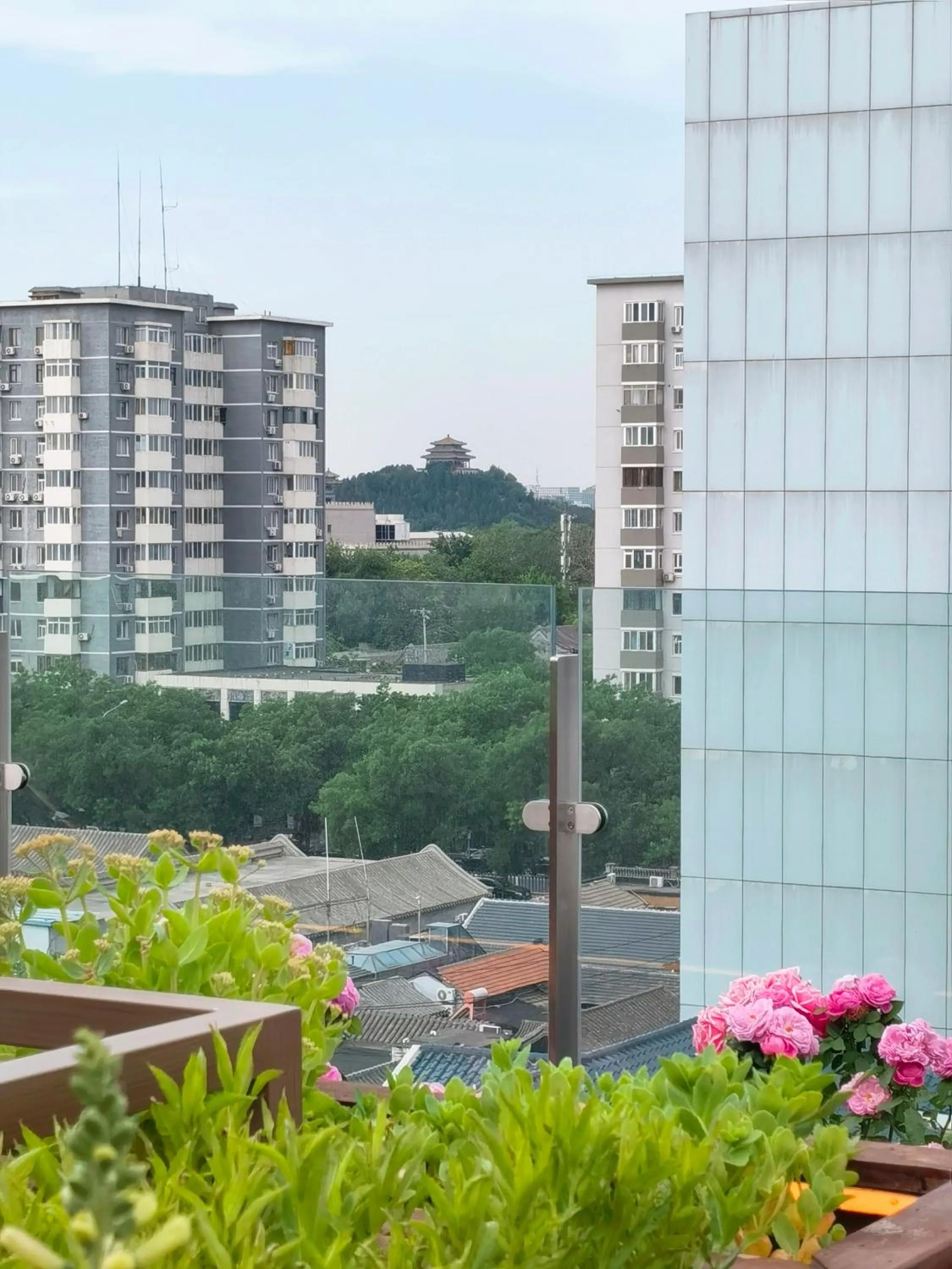 View (from property/room) in The Purple Horse Hotel Beijing