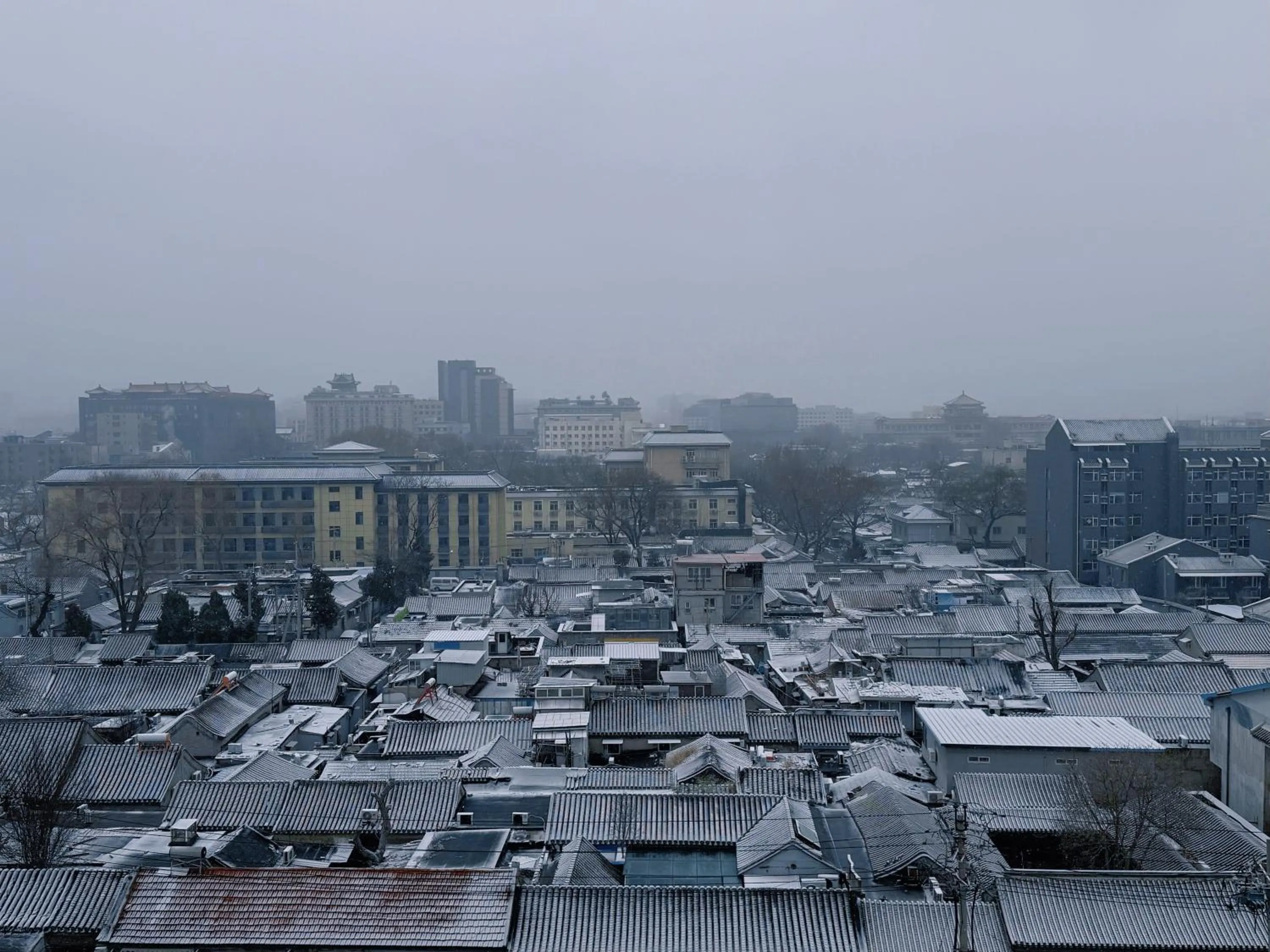 Balcony/Terrace in The Purple Horse Hotel Beijing