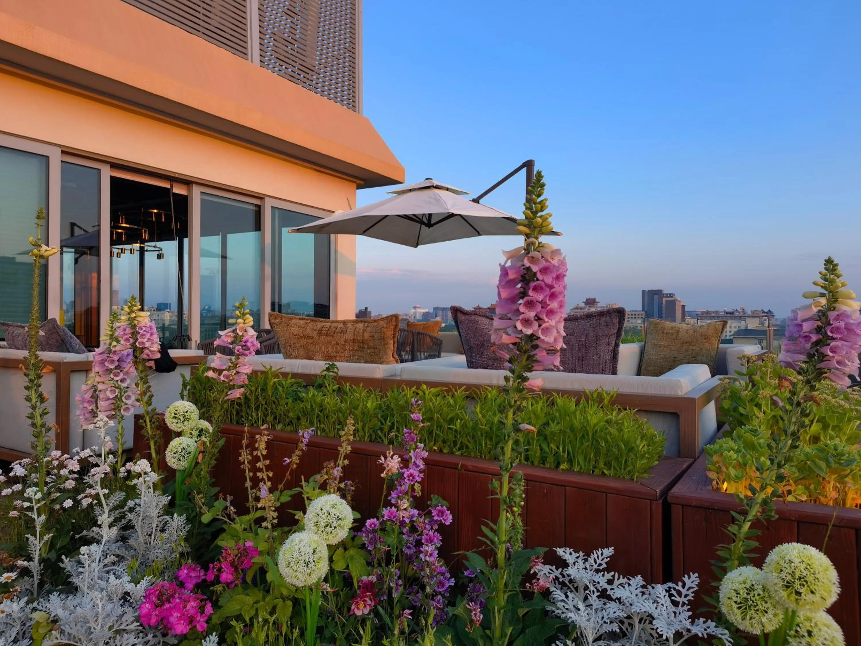 Balcony/Terrace in The Purple Horse Hotel Beijing