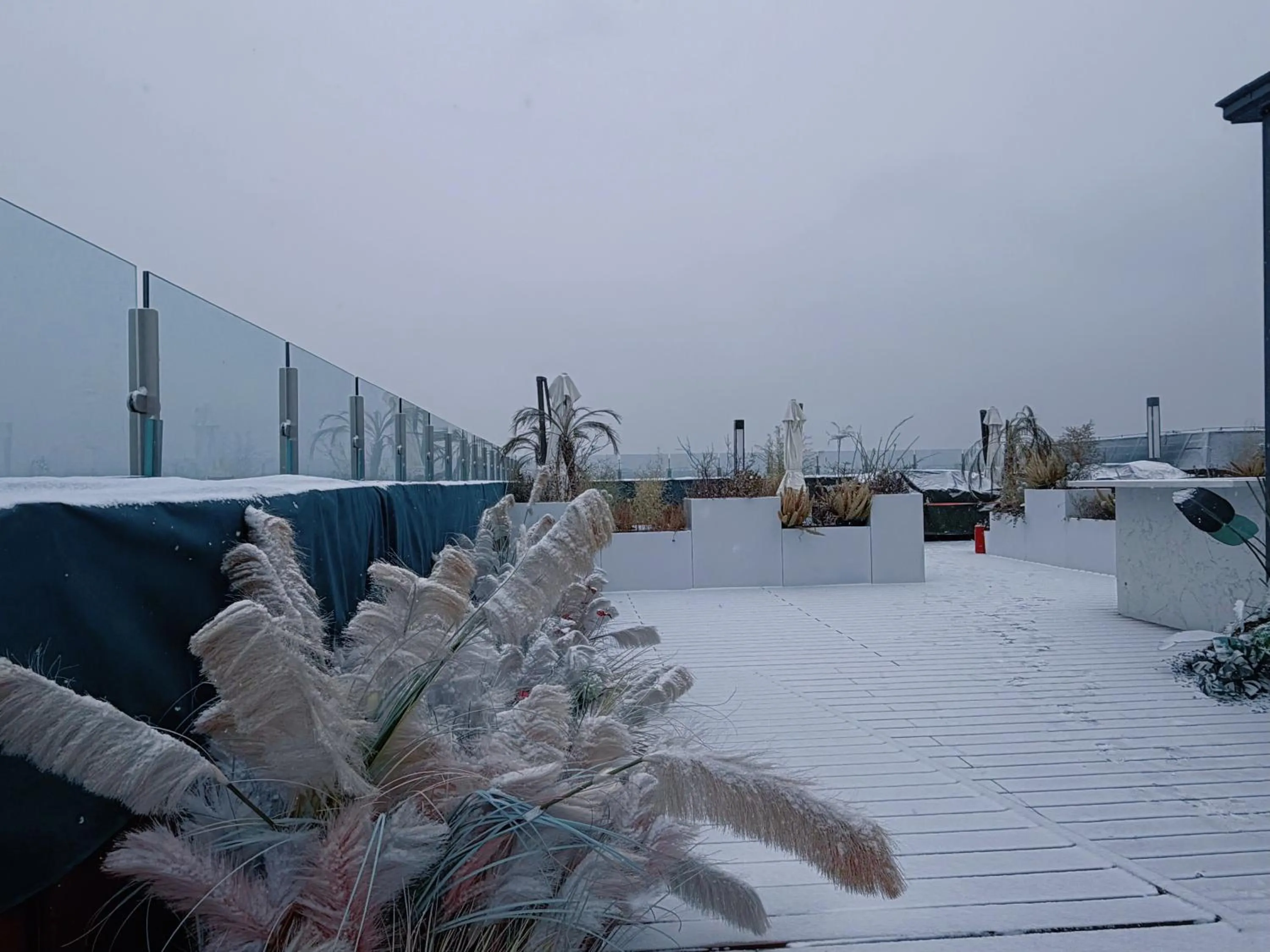 Balcony/Terrace in The Purple Horse Hotel Beijing