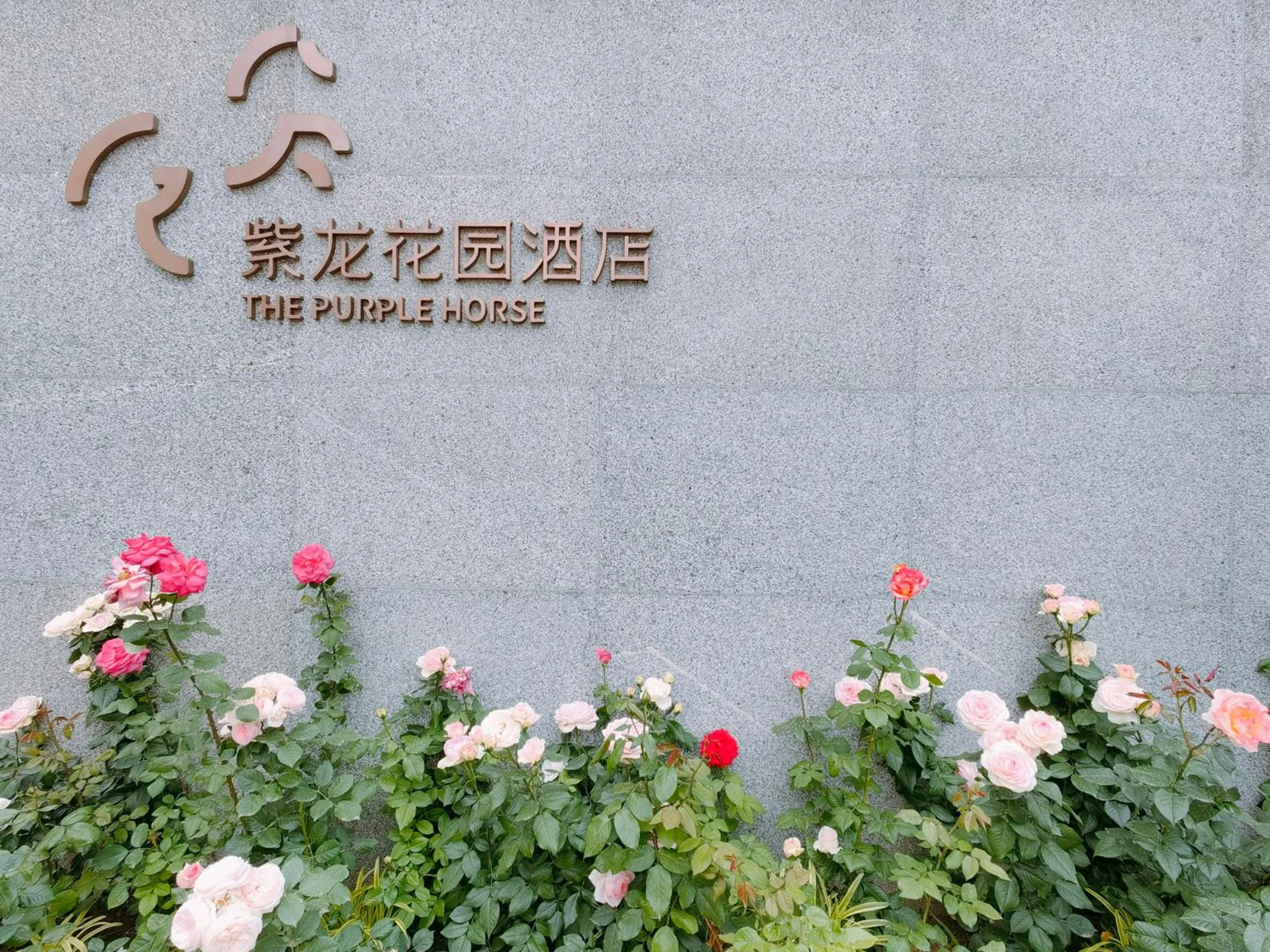 Property building in The Purple Horse Hotel Beijing