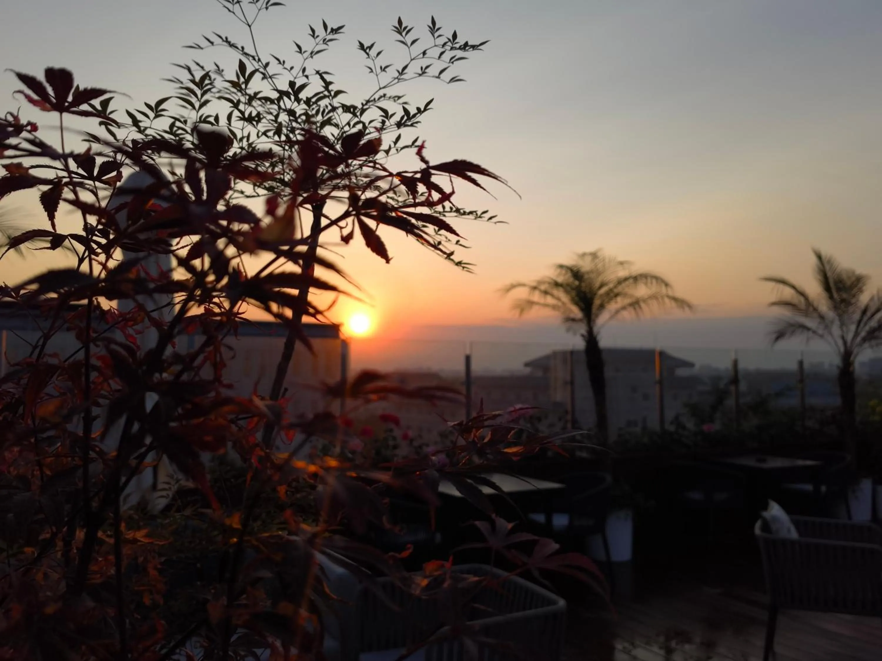 Balcony/Terrace in The Purple Horse Hotel Beijing