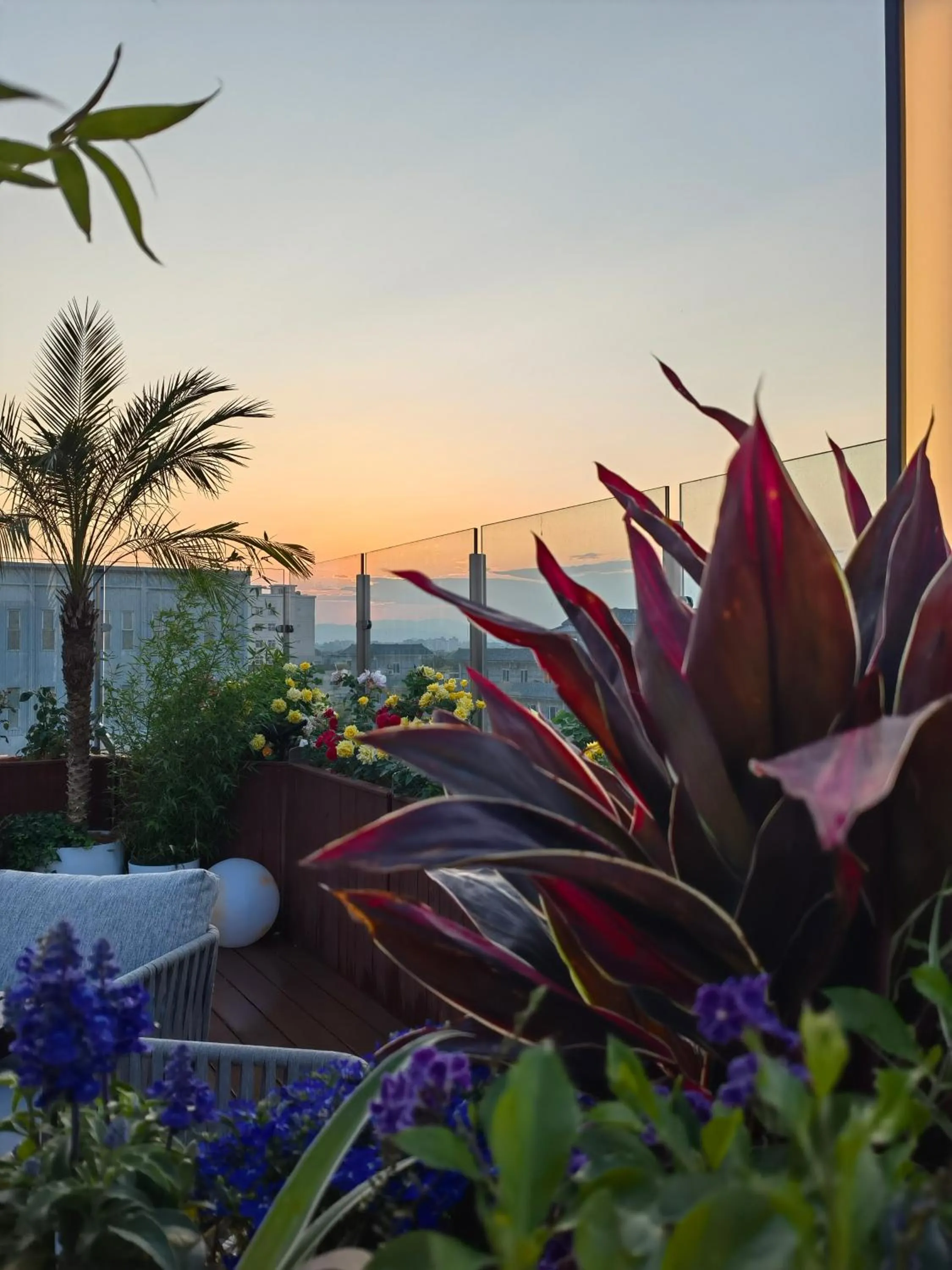 Balcony/Terrace in The Purple Horse Hotel Beijing