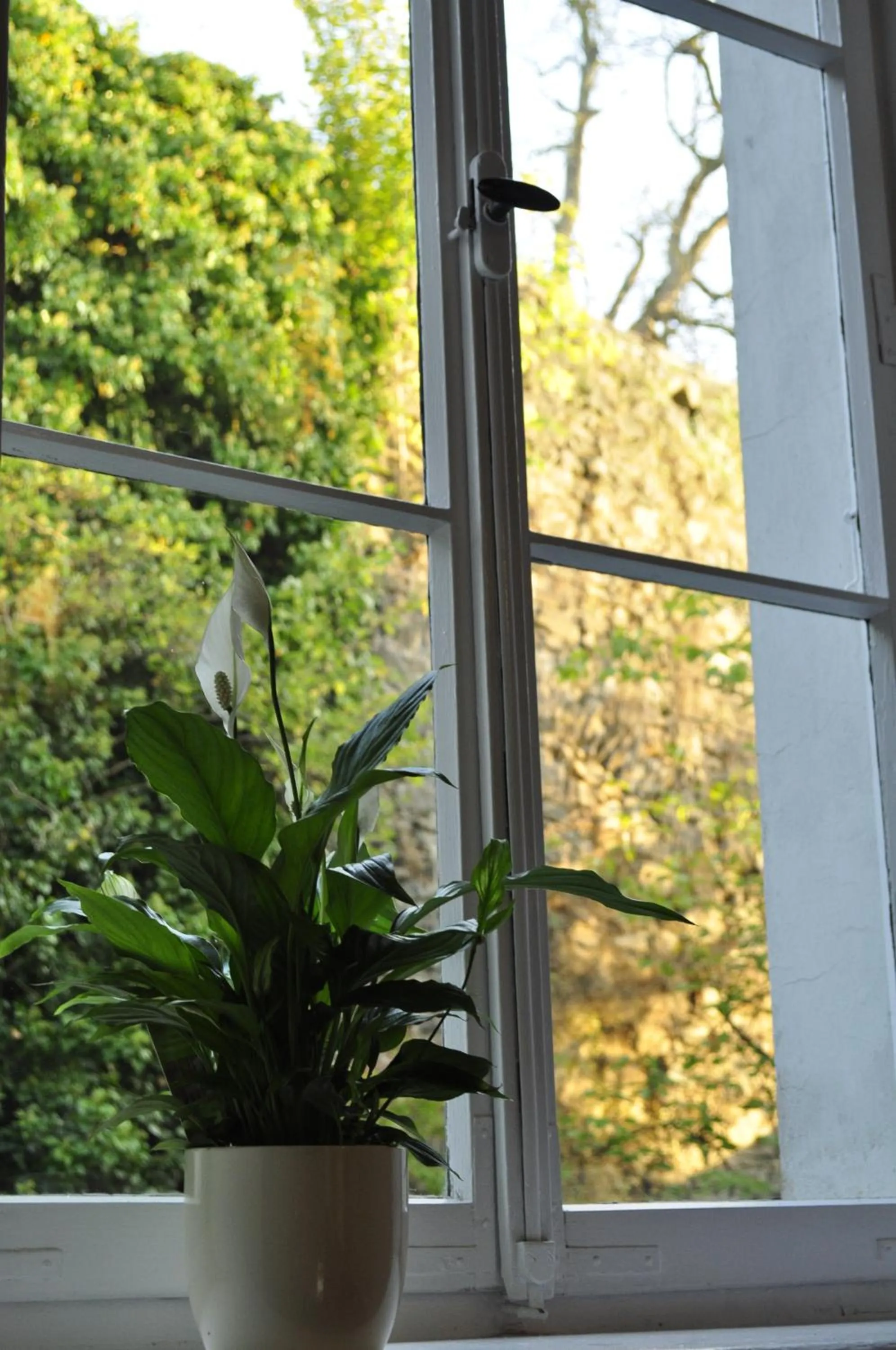 Other in Art Hotel & Hostel