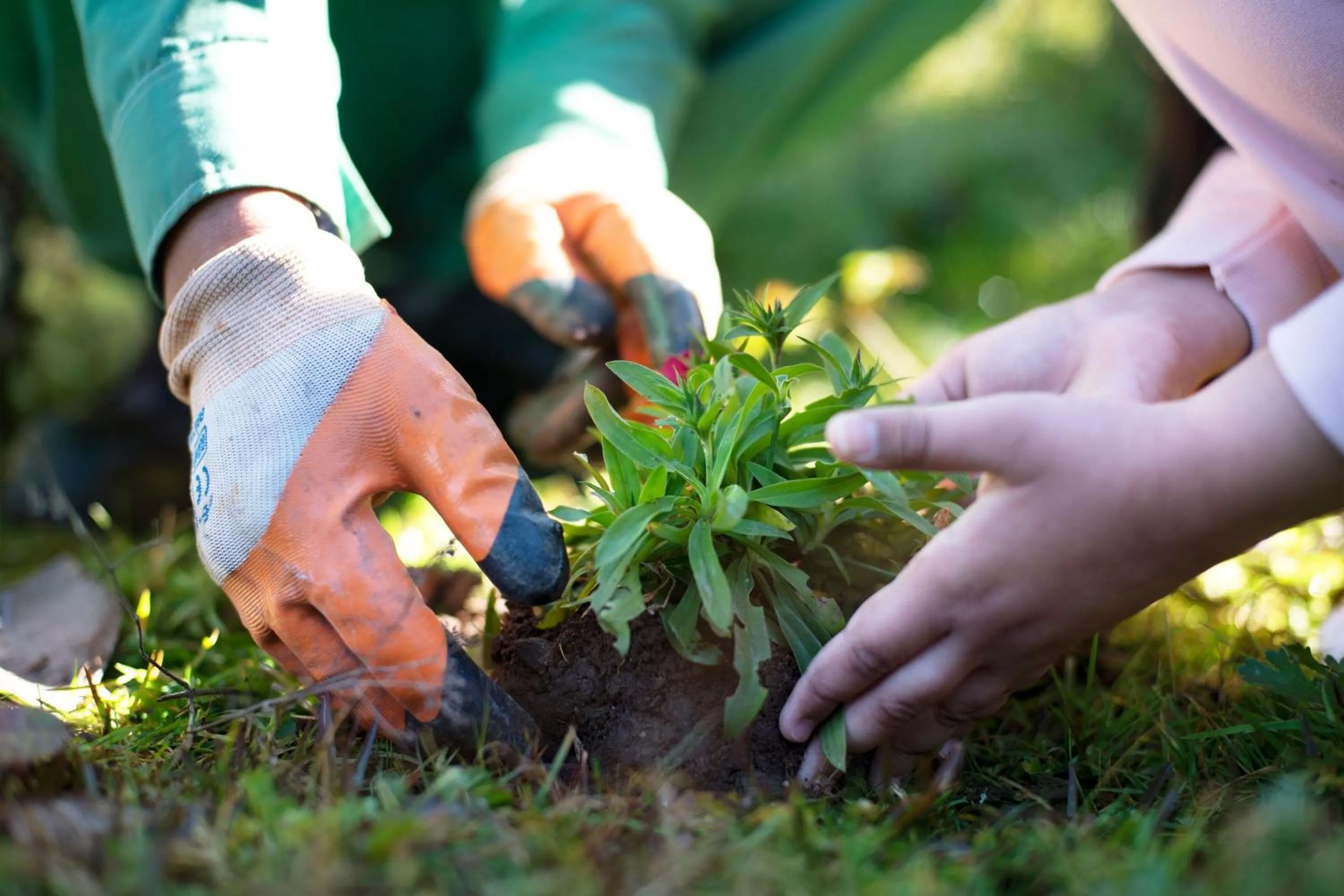 Other in JW Marriott Mussoorie Walnut Grove Resort & Spa