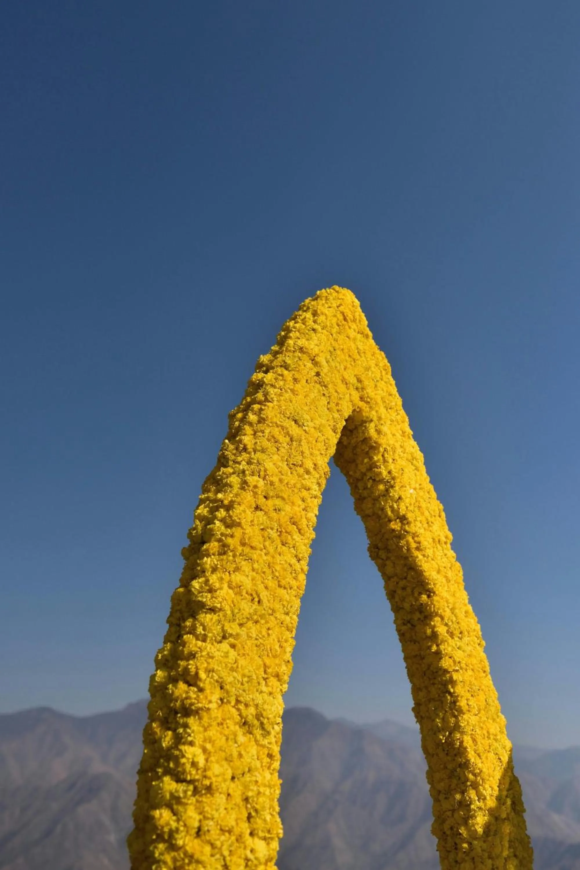 Banquet/Function facilities in JW Marriott Mussoorie Walnut Grove Resort & Spa