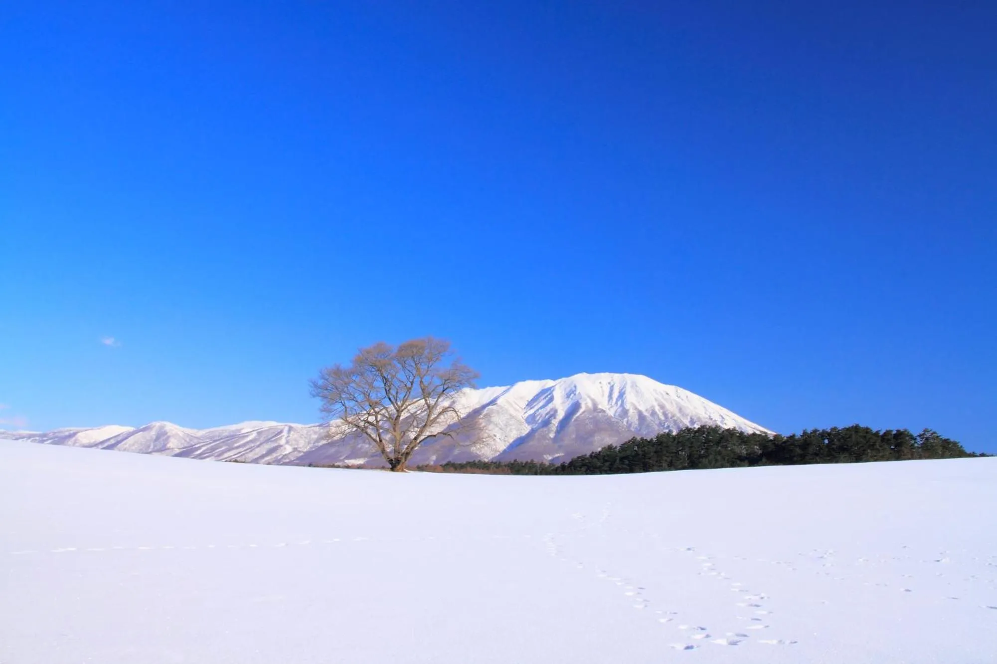 Nearby landmark in Tabist Shizukuishi Resort Hotel