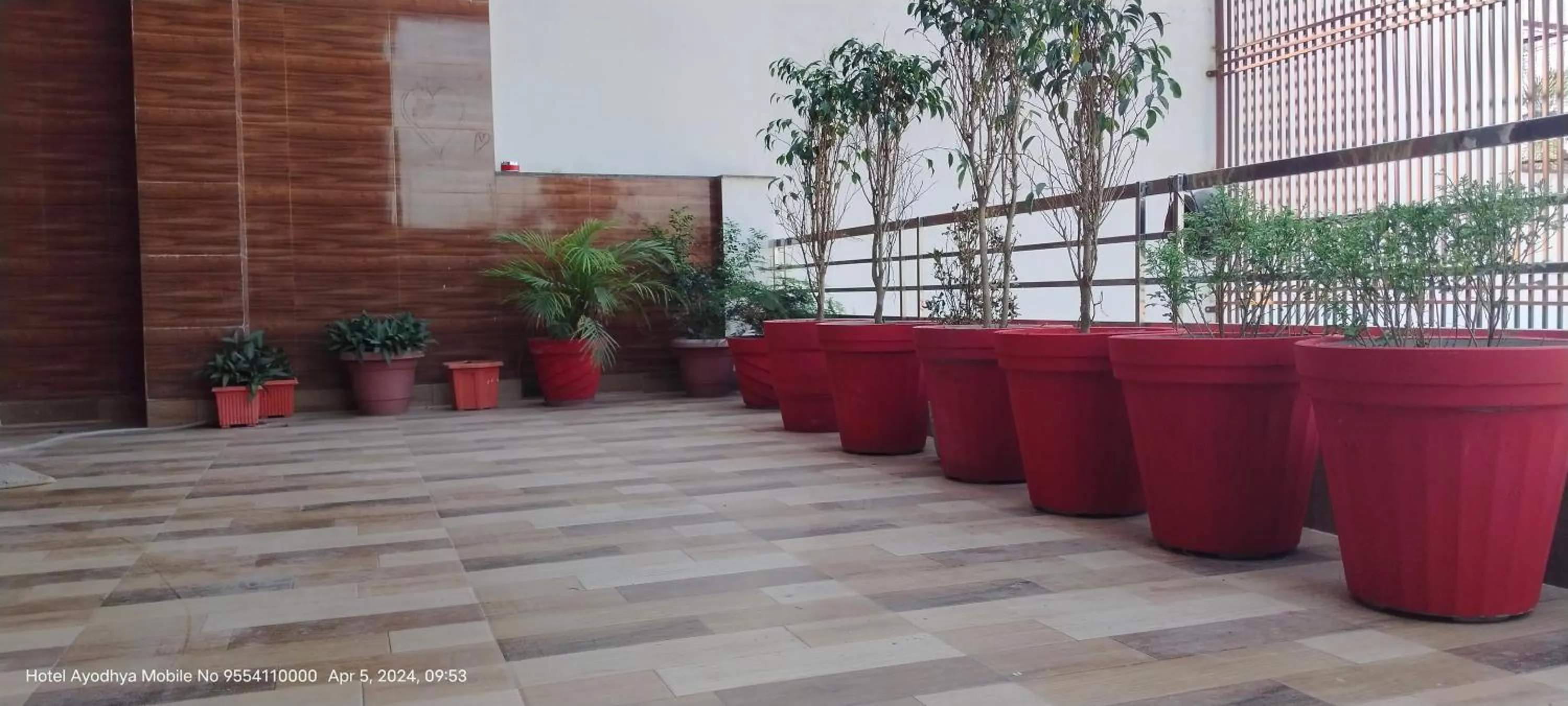 Balcony/Terrace in Hotel Ayodhya Paying Guest