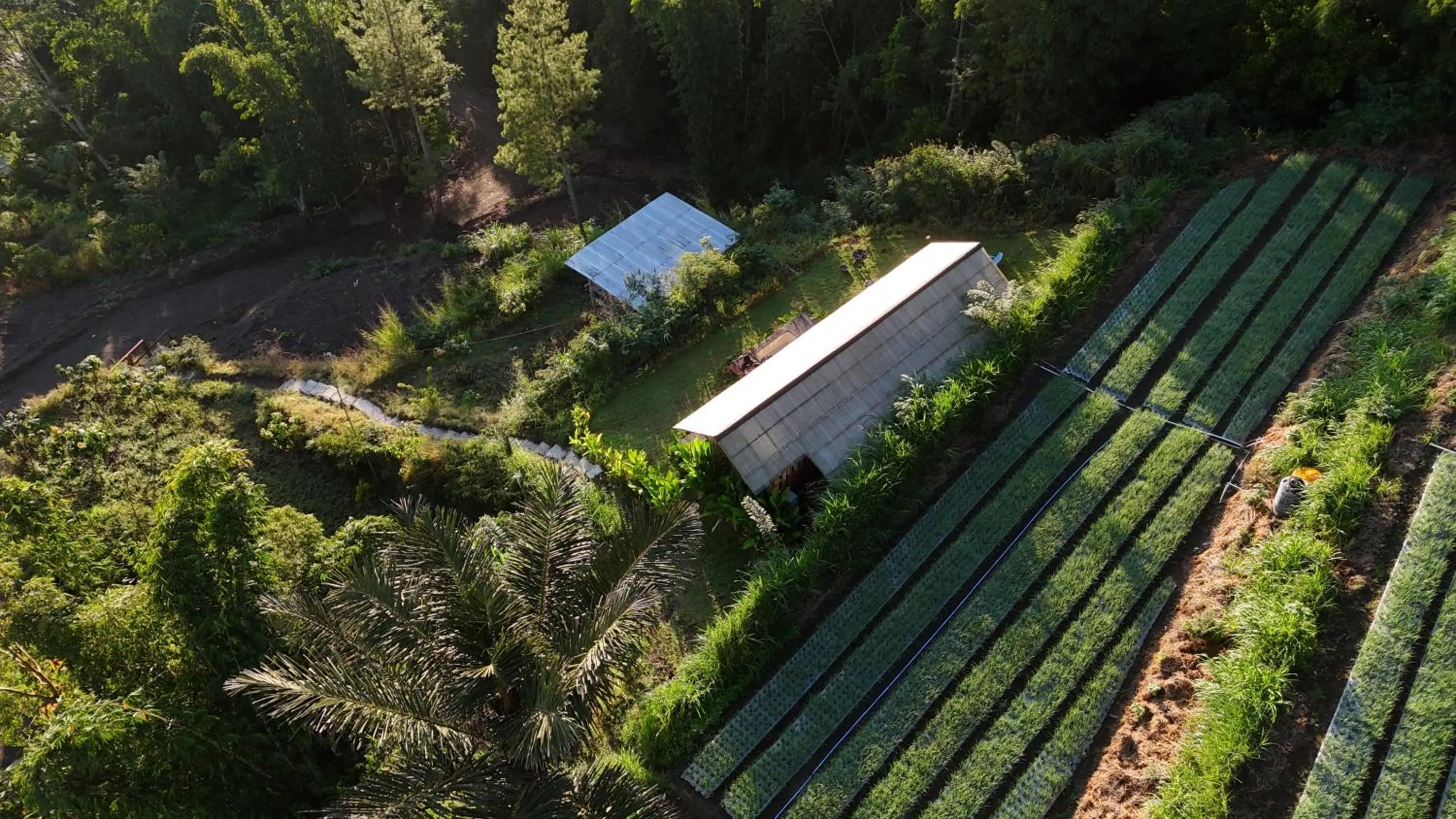 View (from property/room) in Calidas Hill