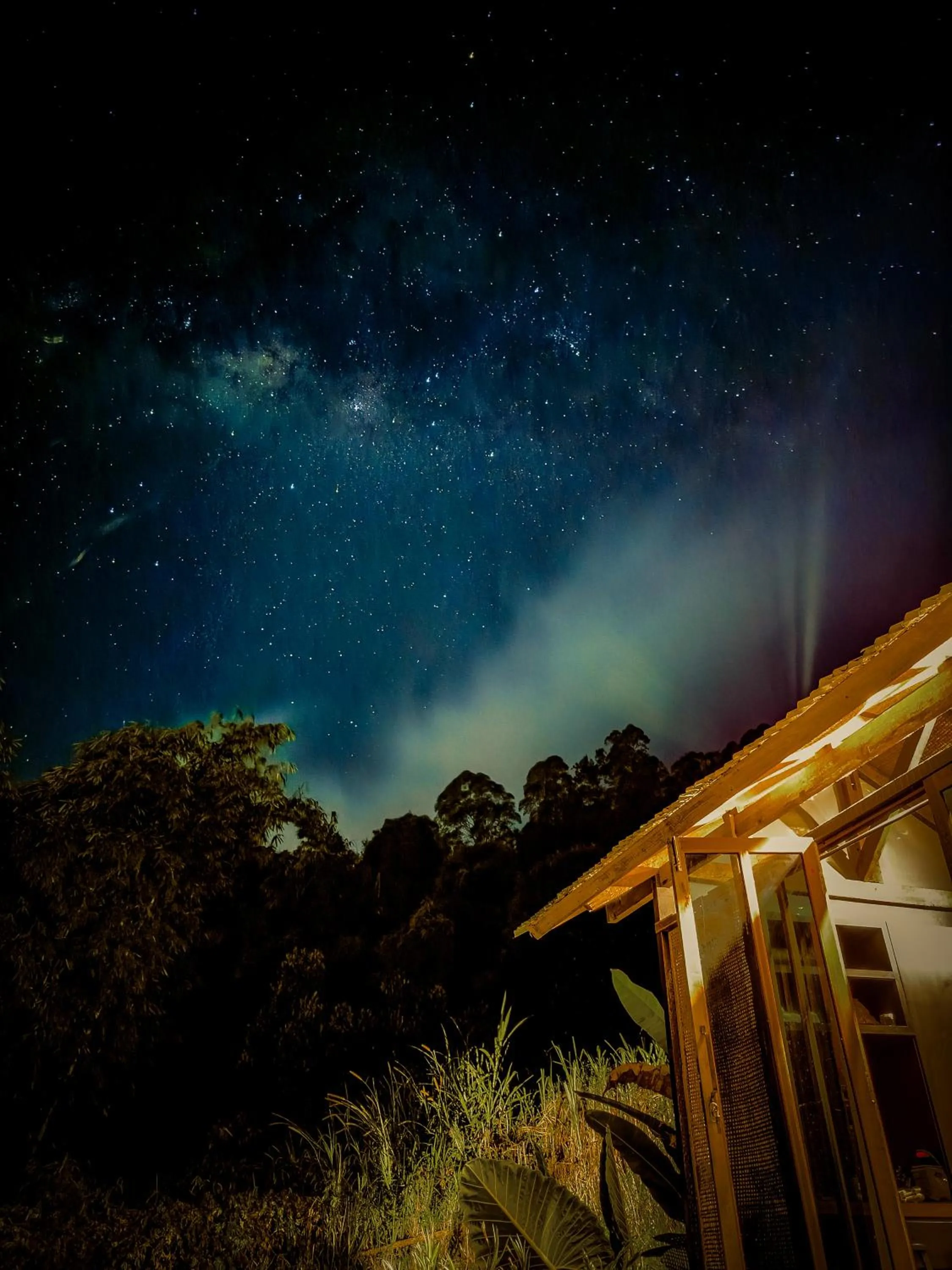 Other in Calidas Hill