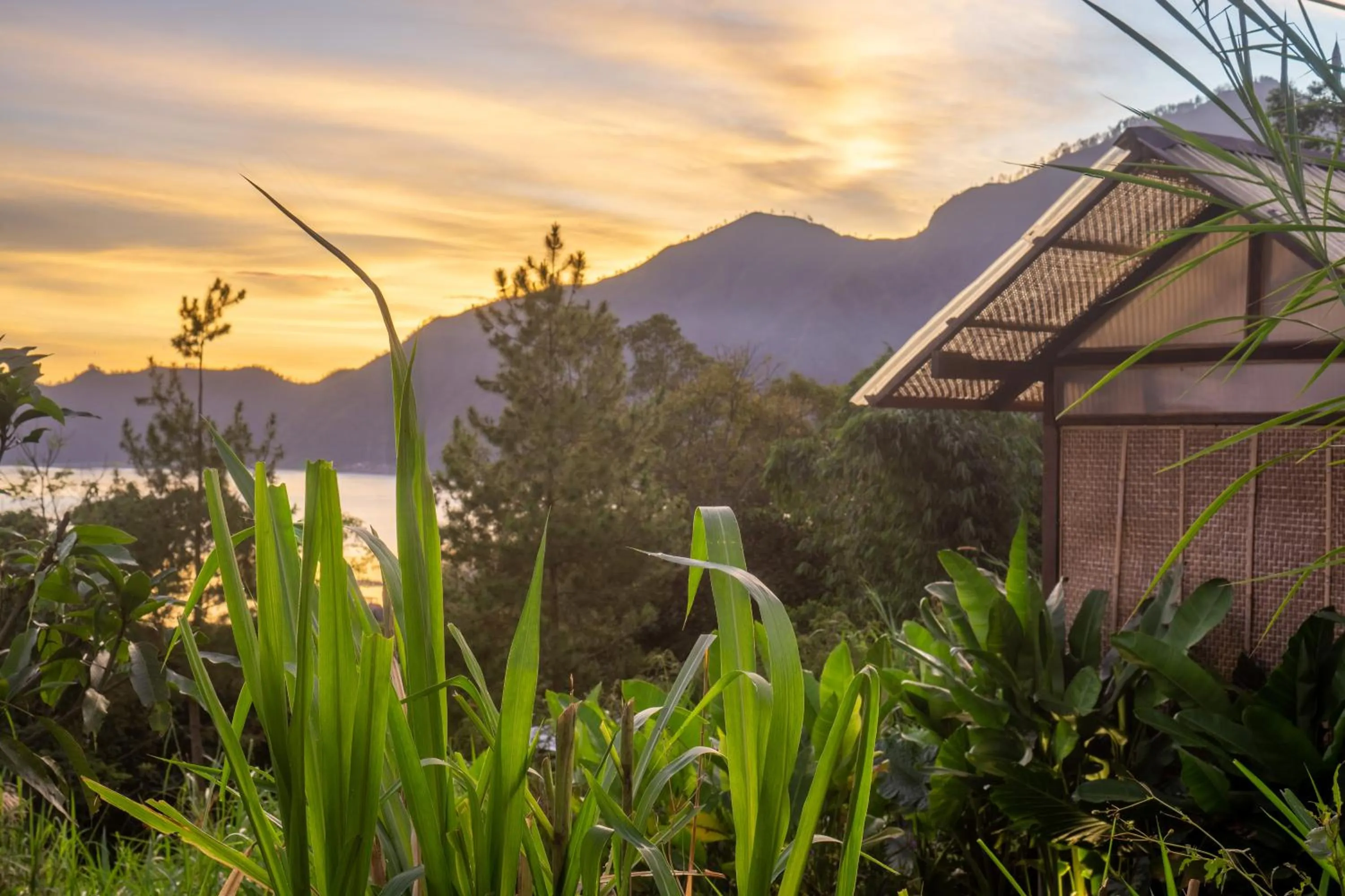 Spring in Calidas Hill