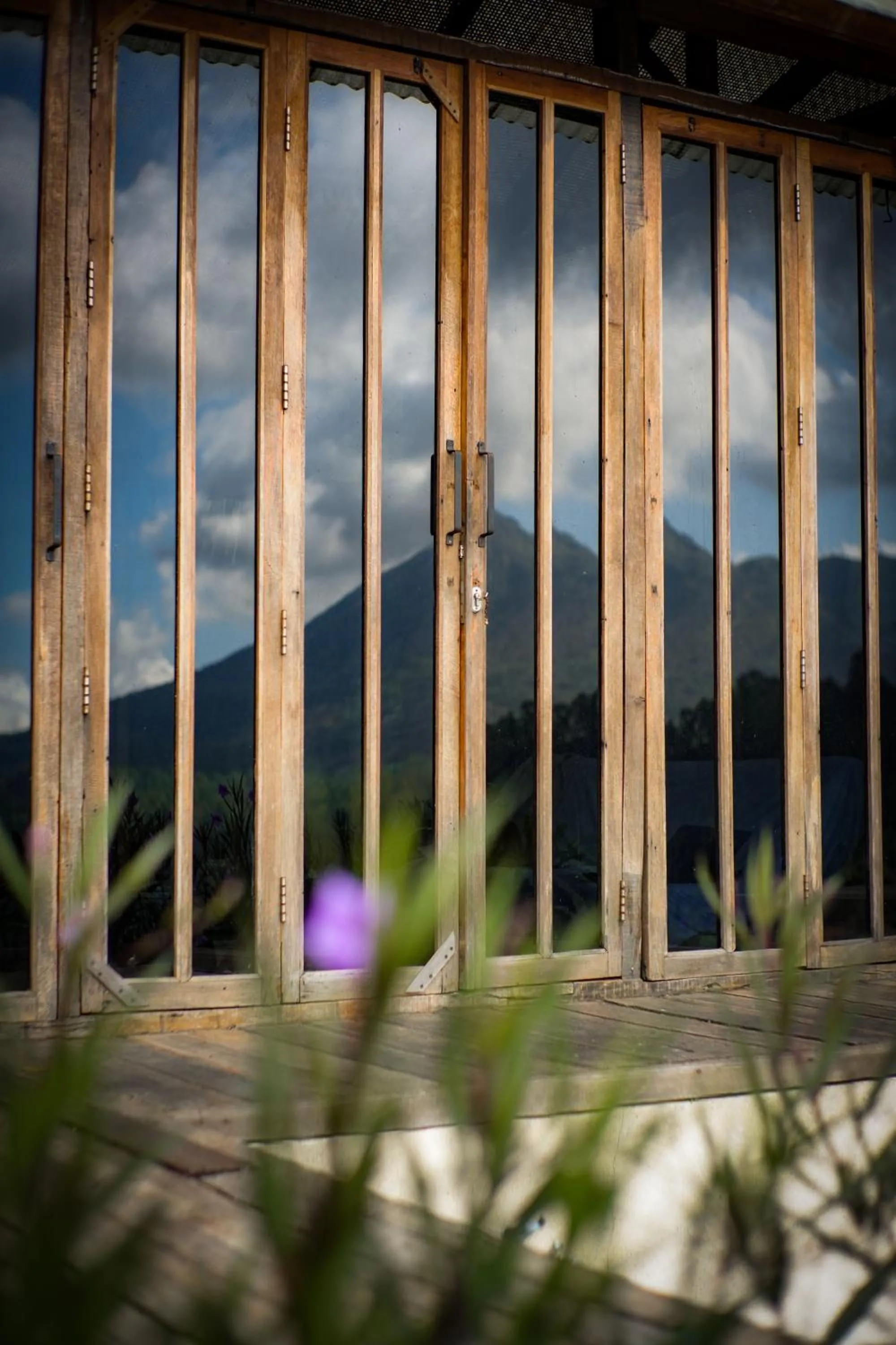 Other in Calidas Hill