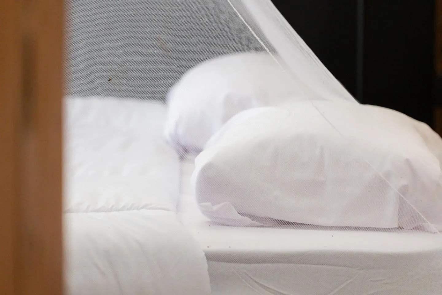 Bedroom, Bed in Calidas Hill