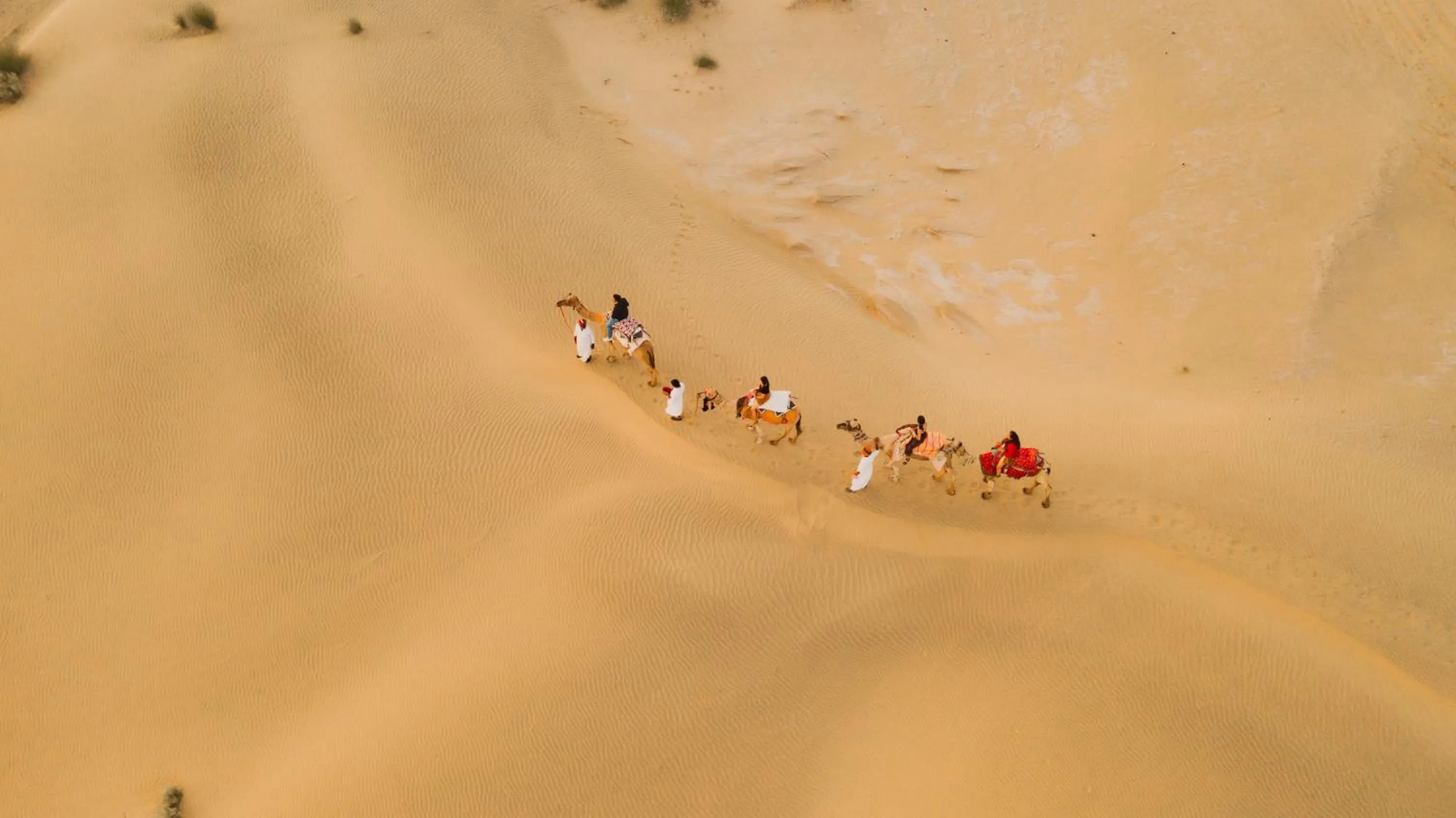 Activities in The Mama's Resort & Camp