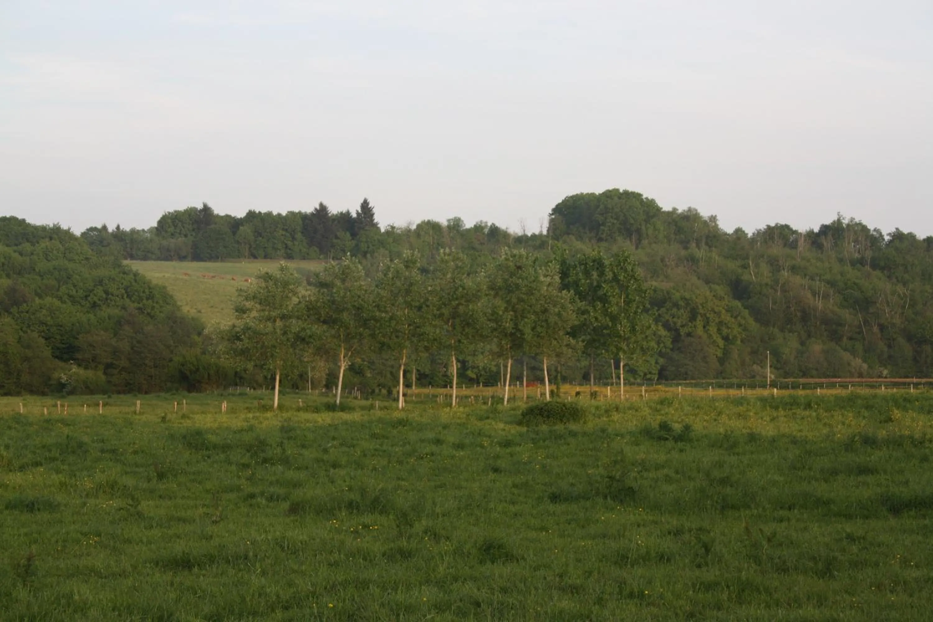 Spring in B&B Le Relais de Chantecor