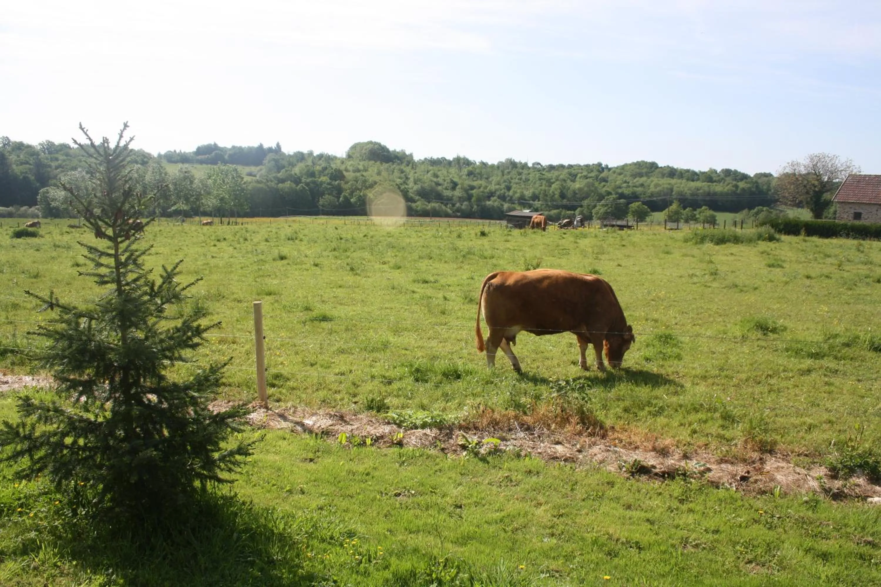 Spring in B&B Le Relais de Chantecor