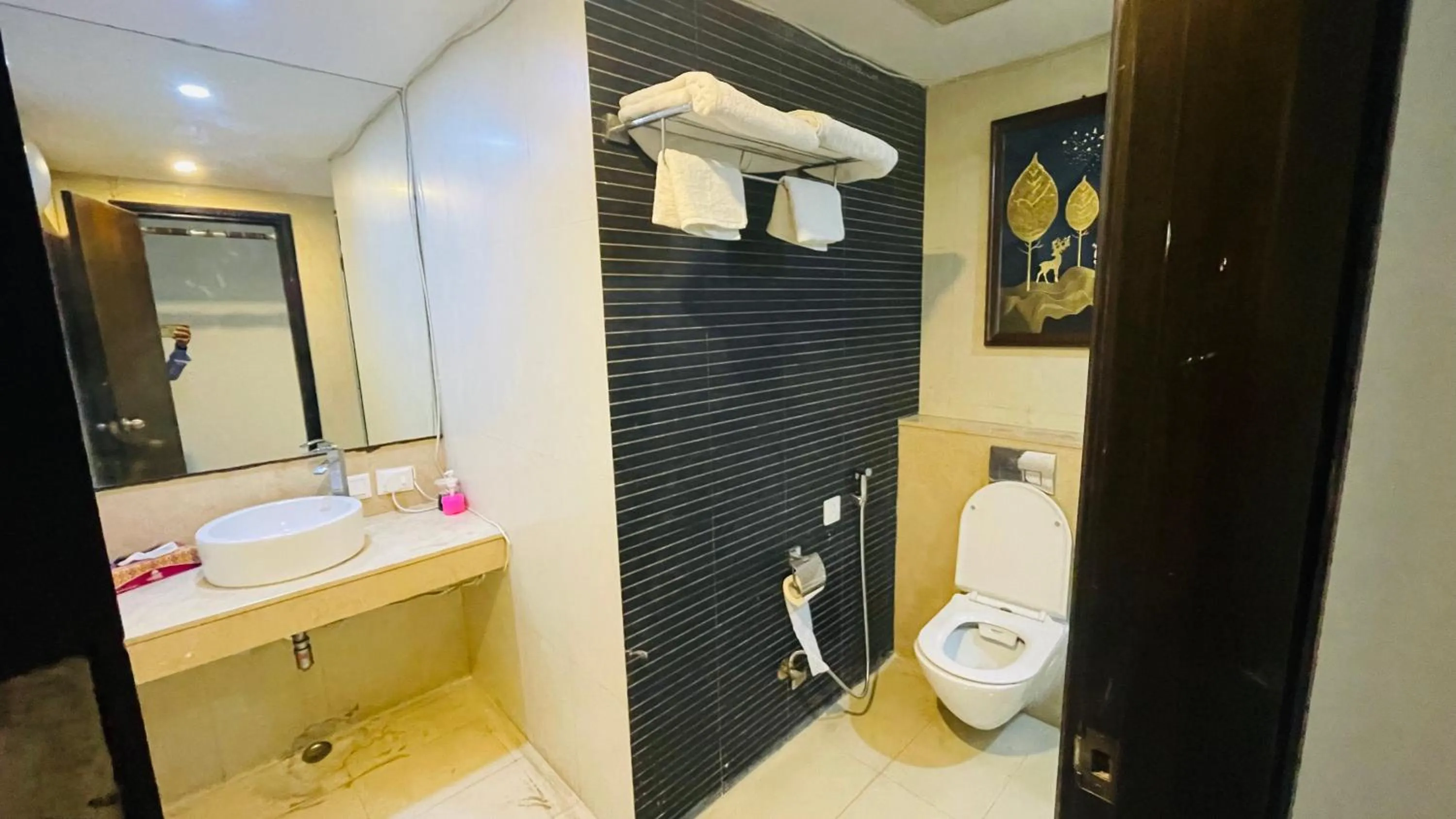 Bathroom in Saltstayz Select - Malcha & Chankyapuri