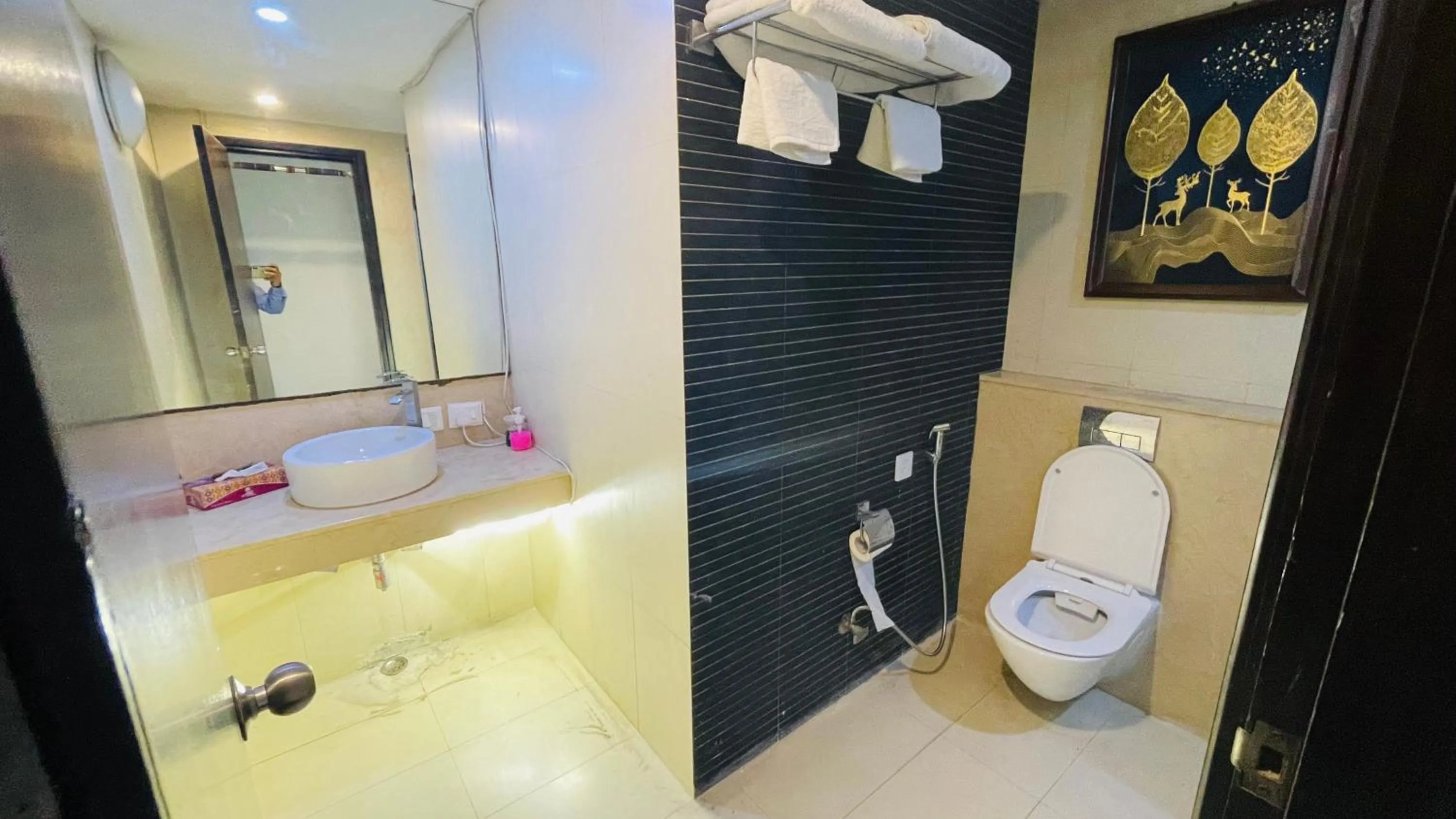 Shower in Saltstayz Select - Malcha & Chankyapuri