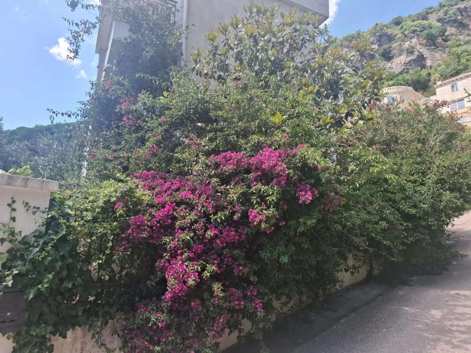 Apartments Villa Simonovic