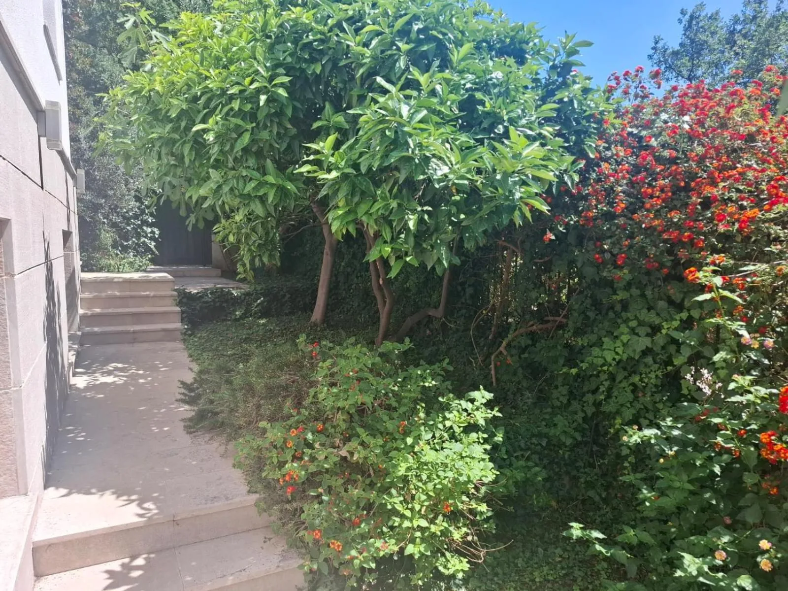 Apartments Villa Simonovic