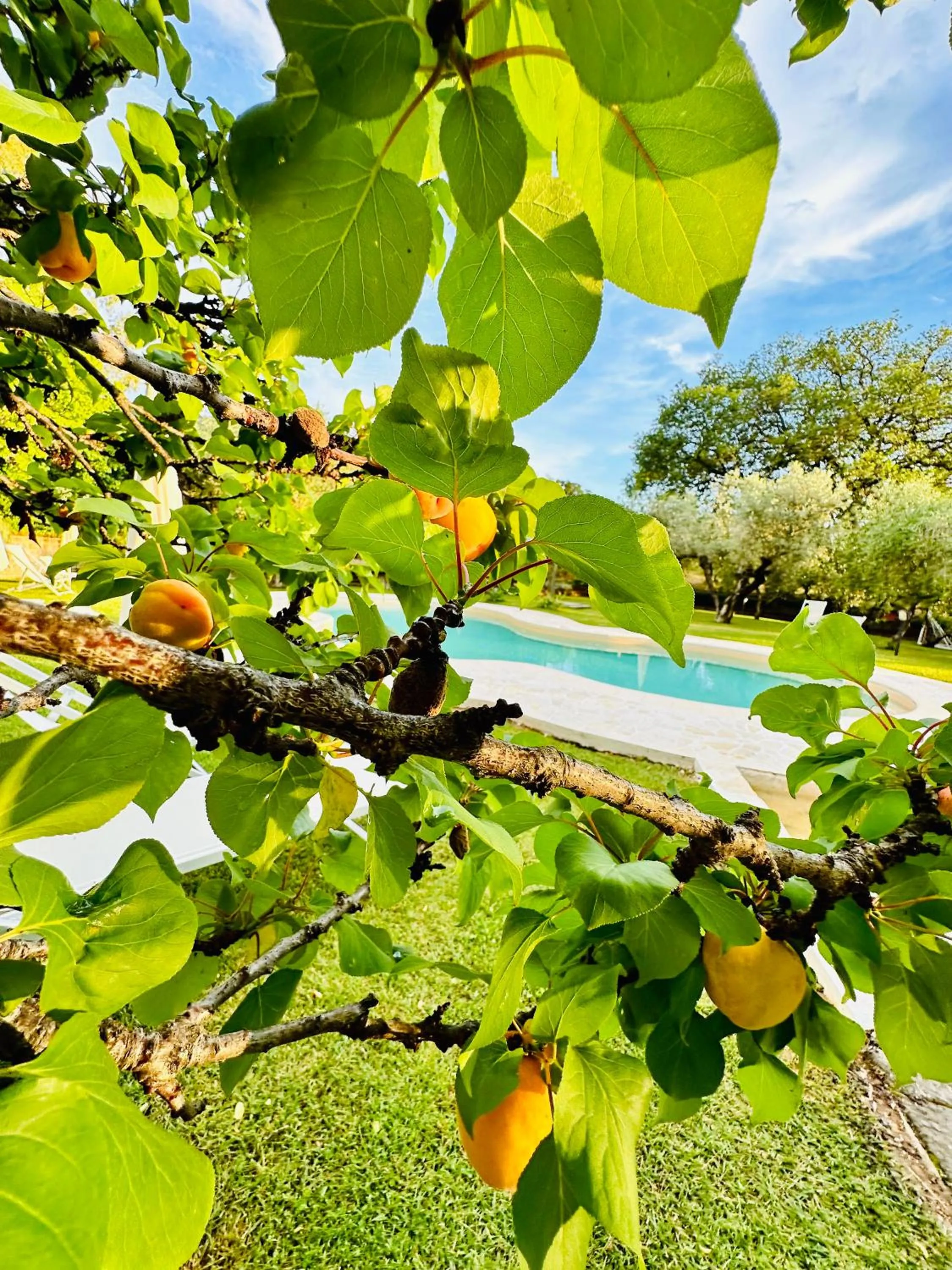 Agriturismo Podere Valdo