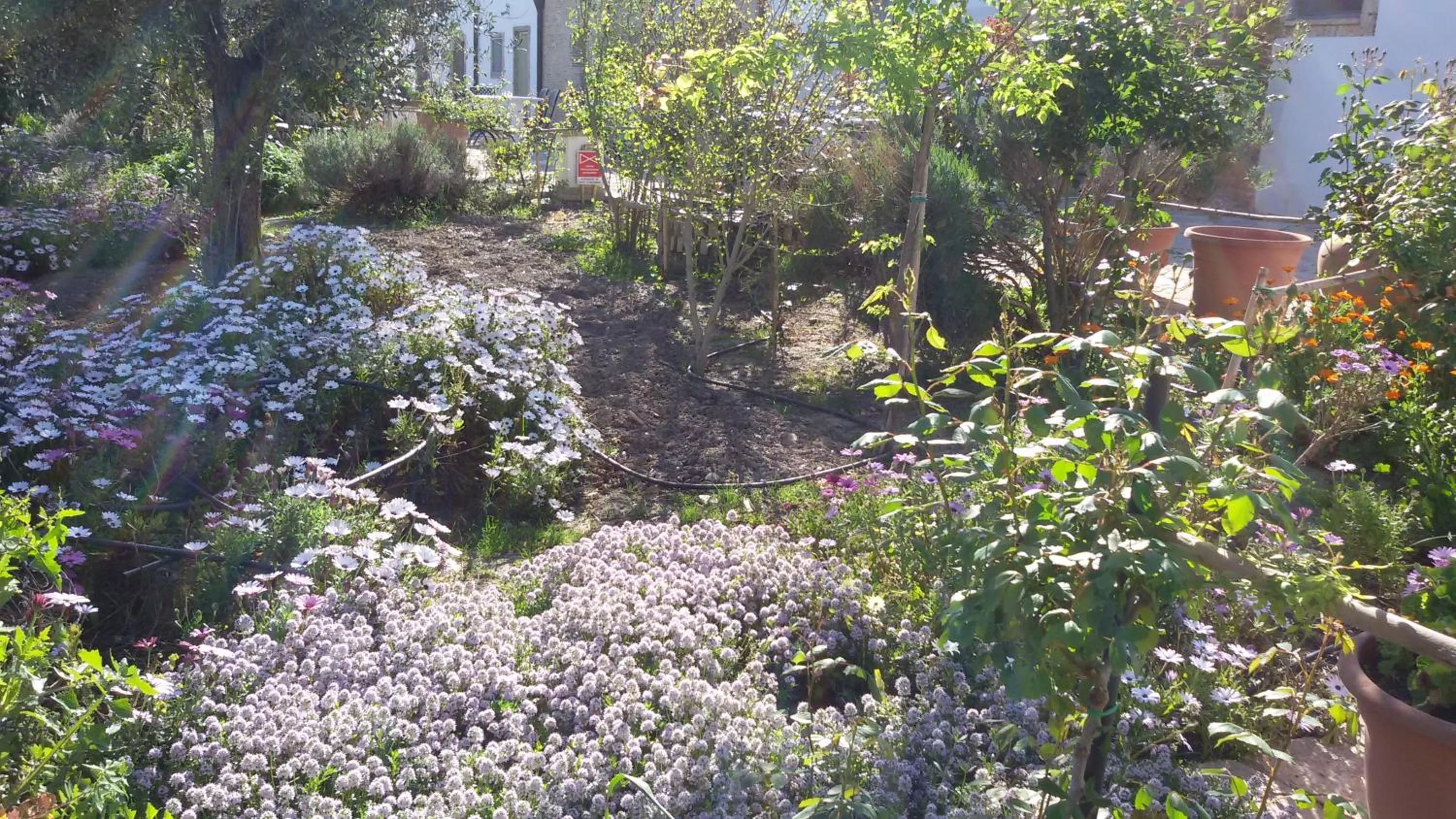 Garden in Masseria Celentano Relais & Agriturismo