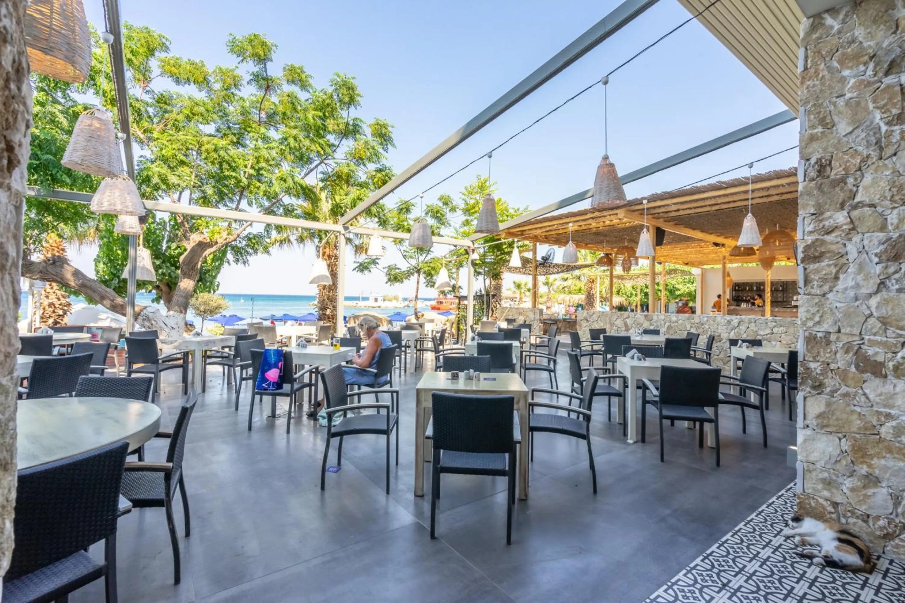 Restaurant/places to eat in Lido Star