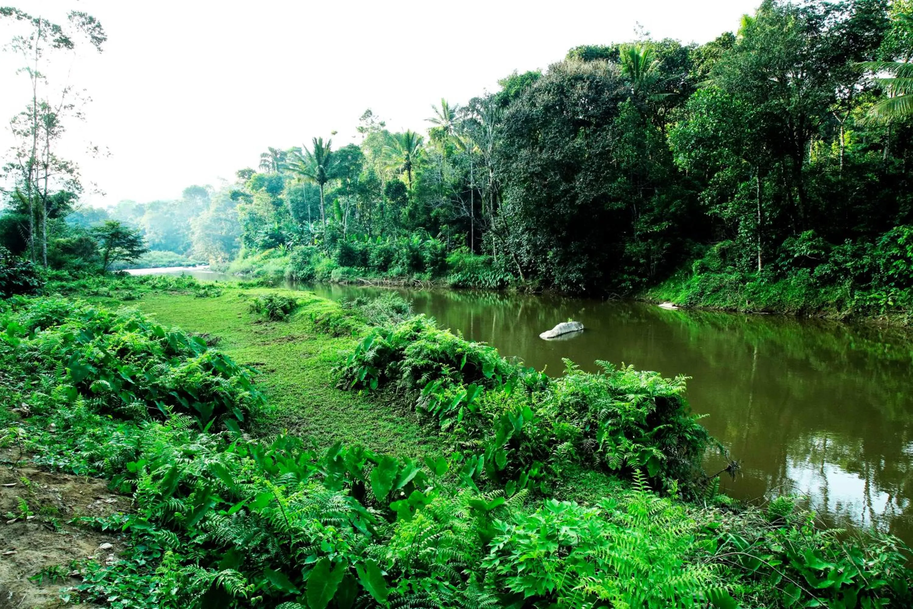 The wayside cottage Munnar