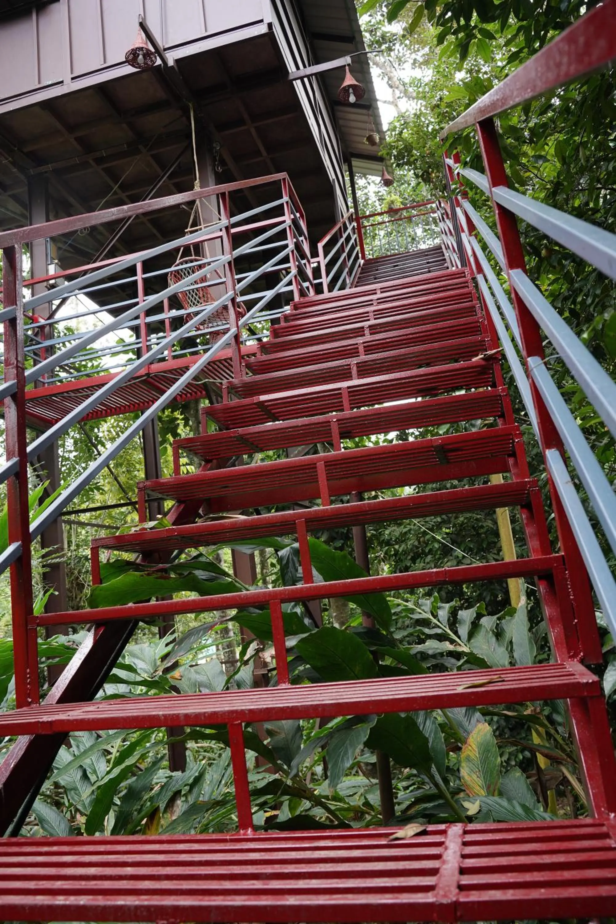 The wayside cottage Munnar