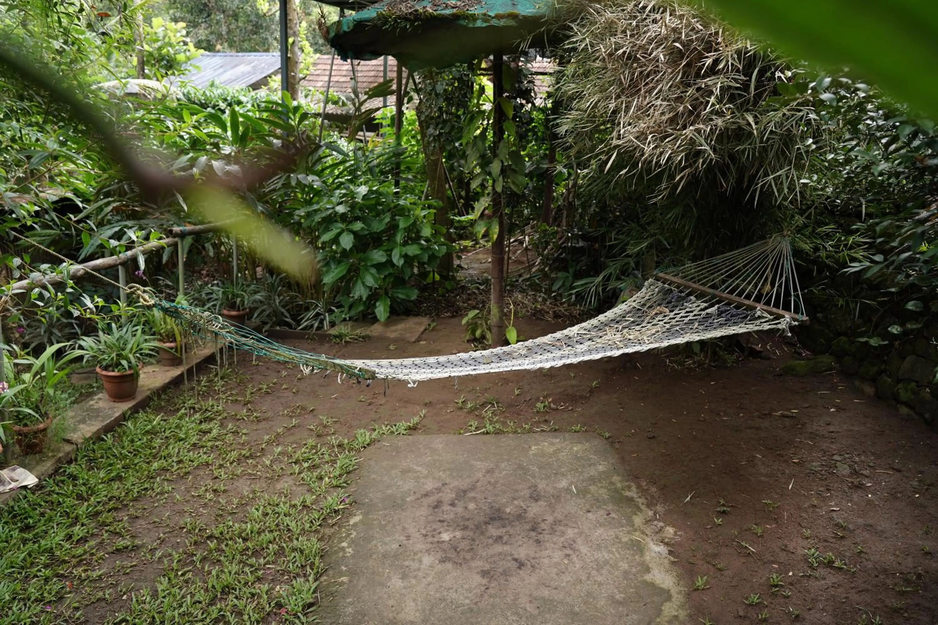 The wayside cottage Munnar
