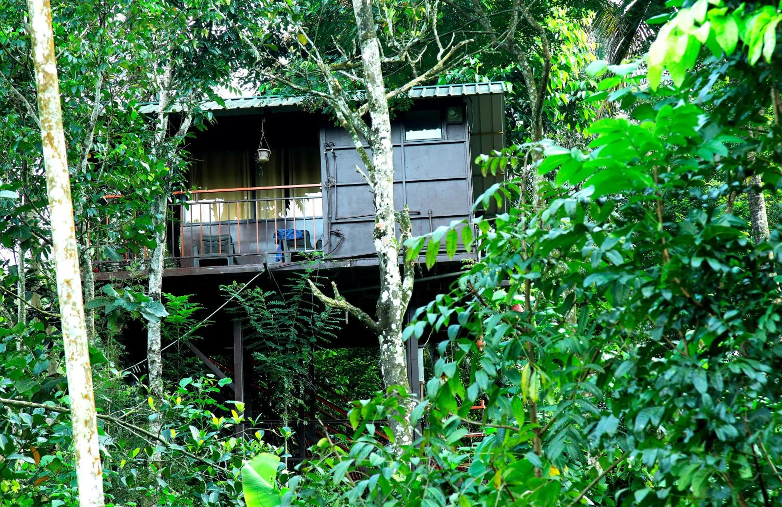 View (from property/room) in The wayside cottage Munnar
