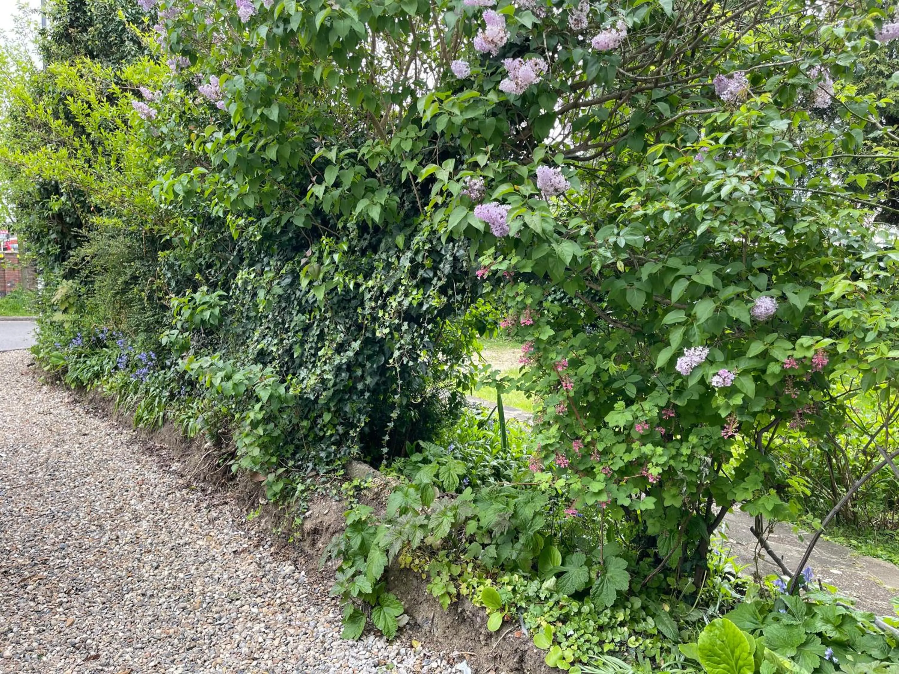 London Studios and Suites